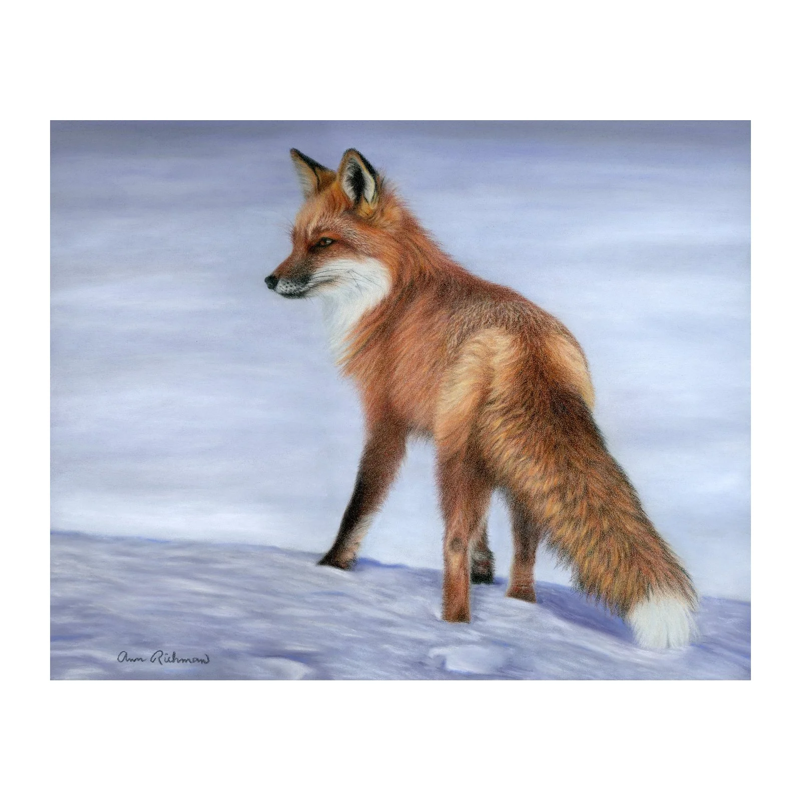 fox_square_shop_thumbnail.jpg