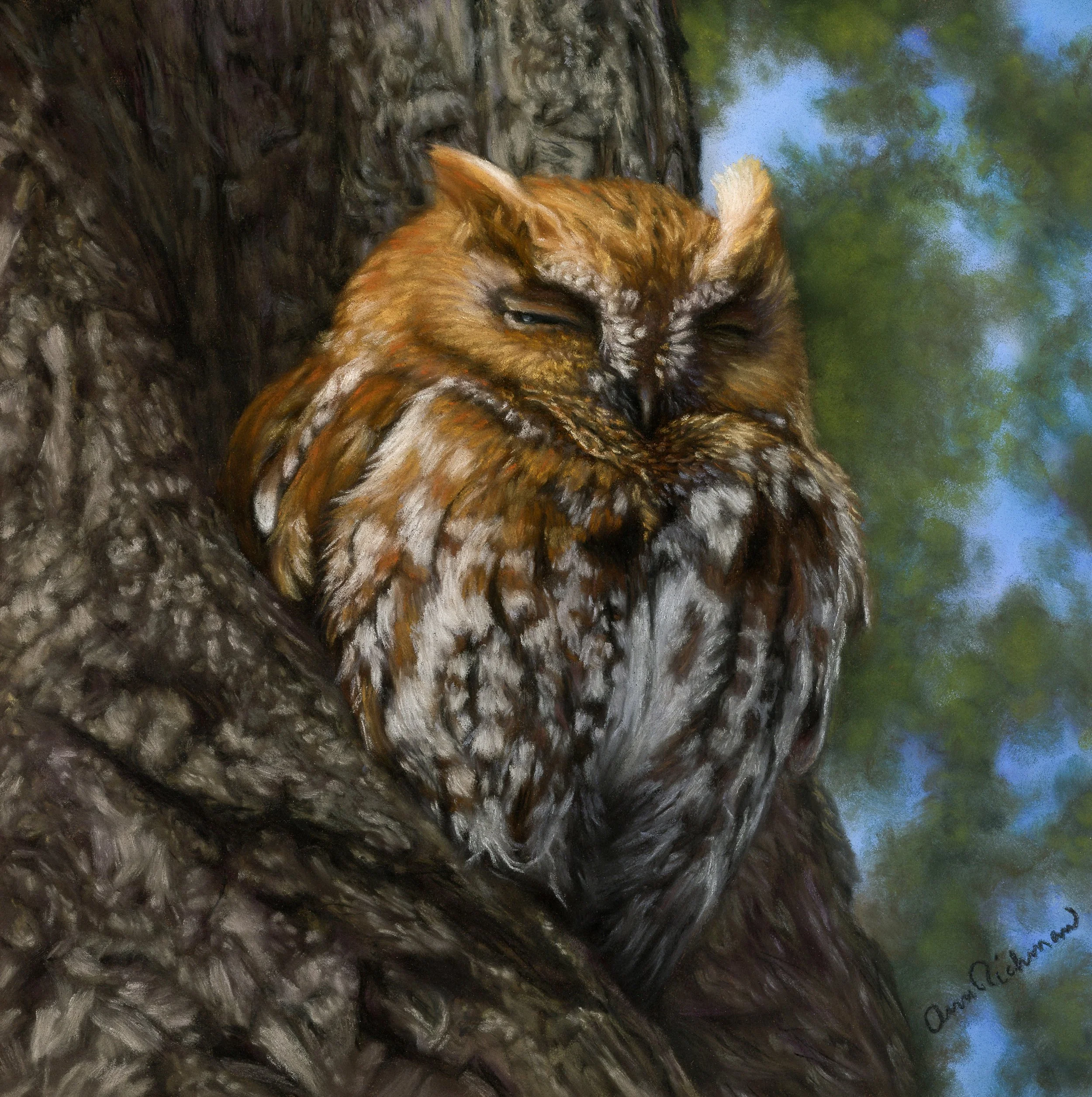 owltoLR.jpg
