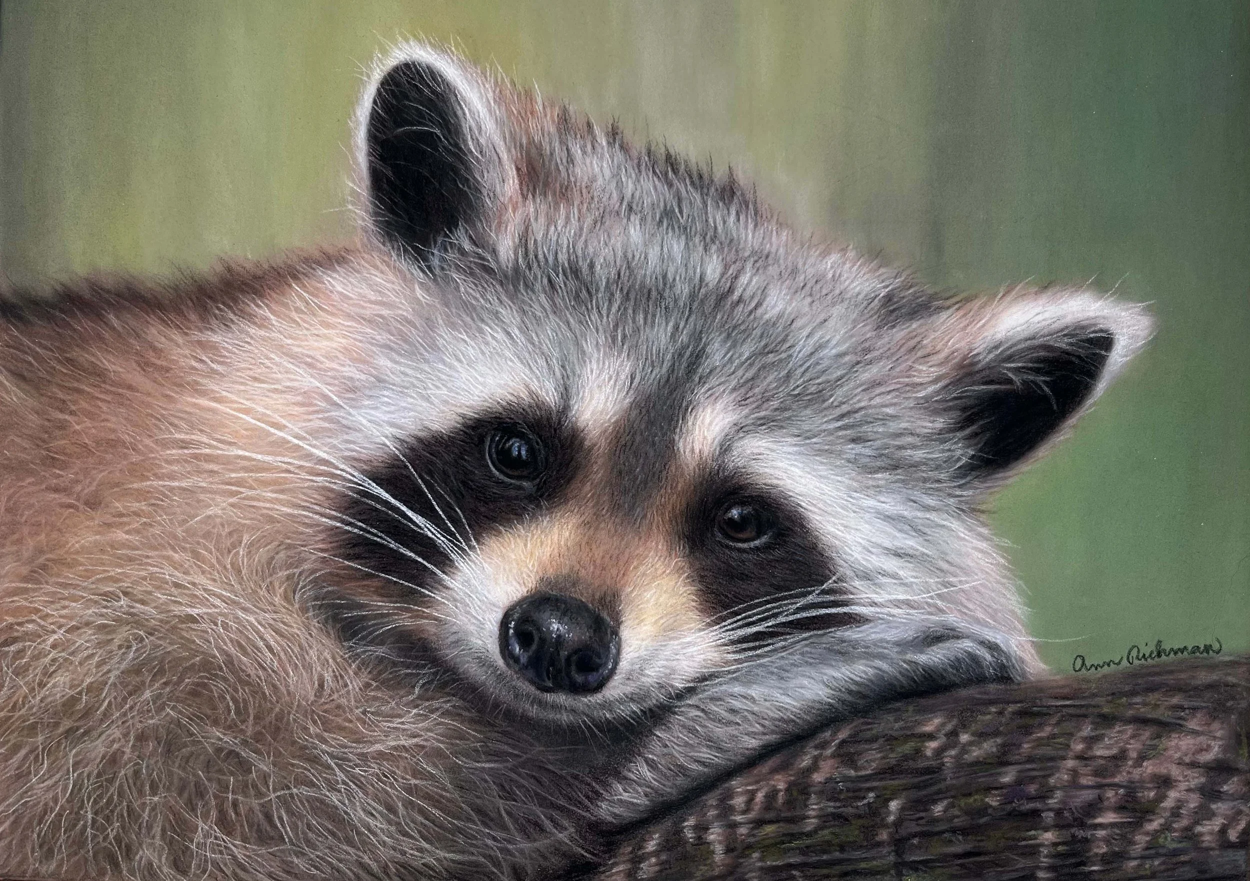 Woodland Dreamer