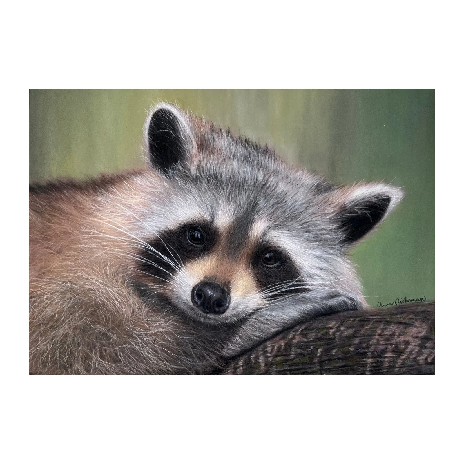 woodland_dreamer_square_shop_thumbnail.jpg