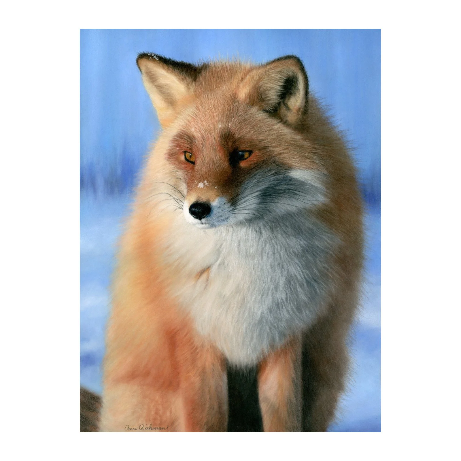 portrait_fox_square_shop_thumbnail.jpg
