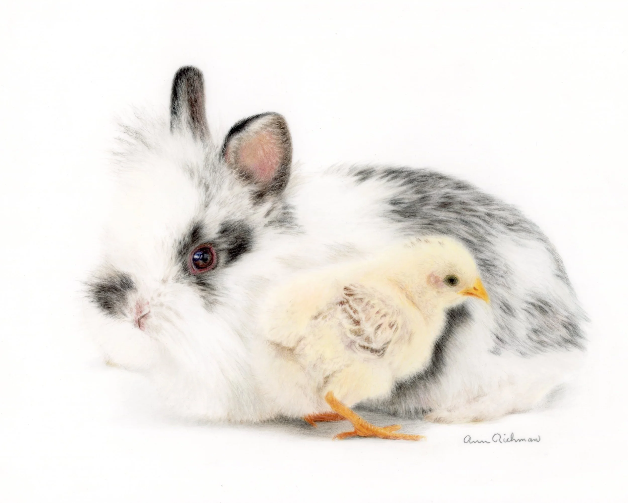 bunny_and_chick.jpg