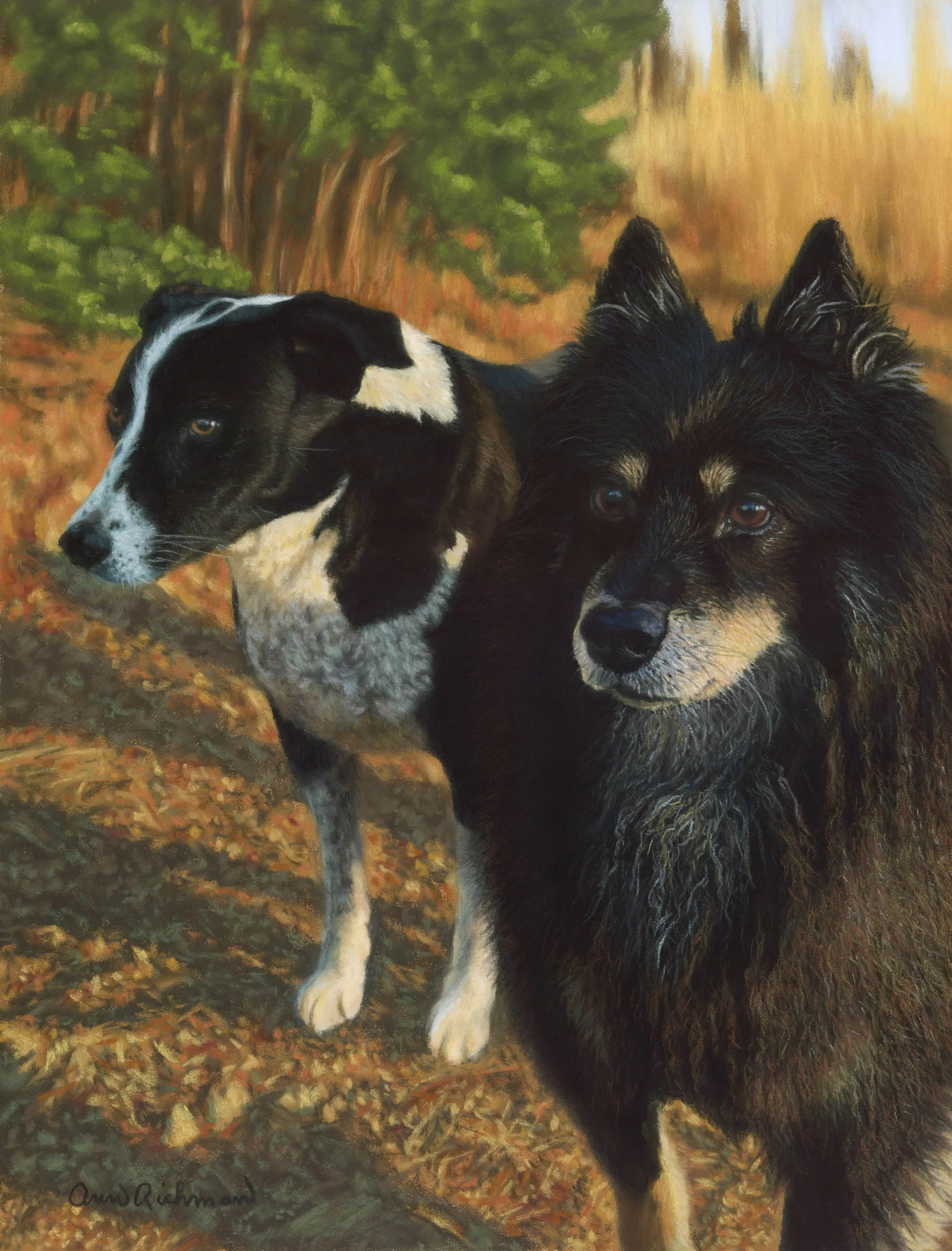Kos_and_AdsLR_smaller.jpeg