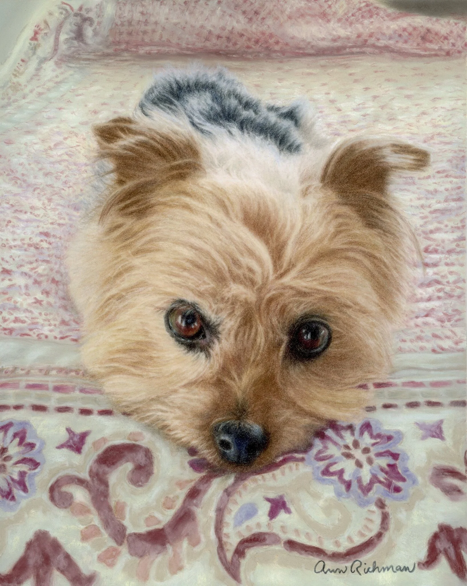 Pippin.jpg