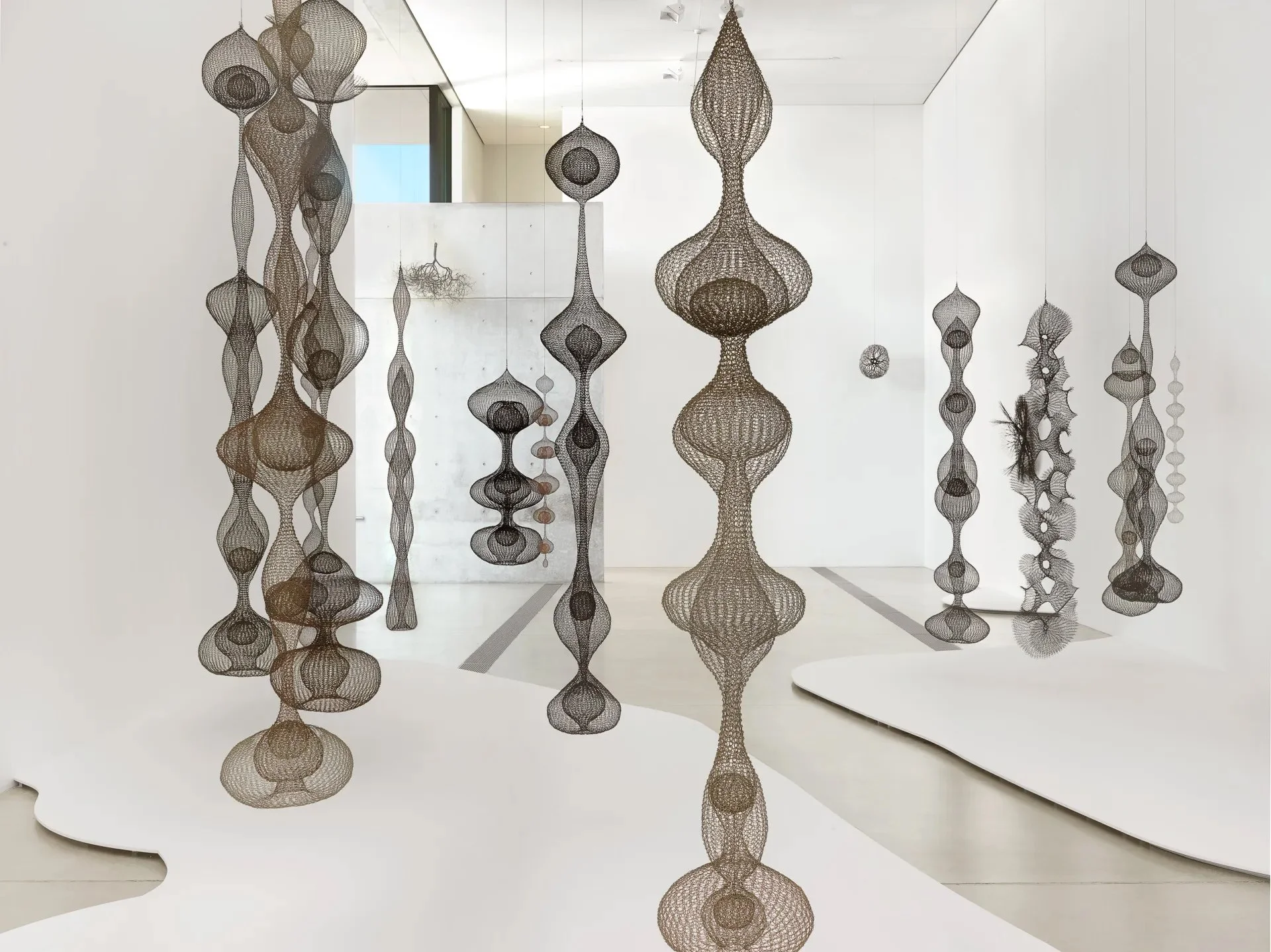 Ruth Asawa, installation view of “Ruth Asawa: Life’s Work,” 2018–19