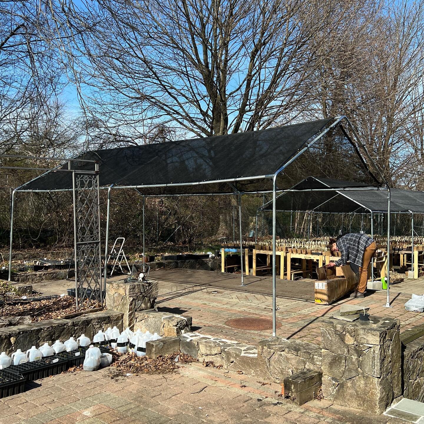Signs of growth&hellip;and it&rsquo;s not just the plants! We&rsquo;ve added a second shade structure to accommodate a larger inventory this spring. We will be releasing the spring plant sale species list at the end of the week, be sure to join our m