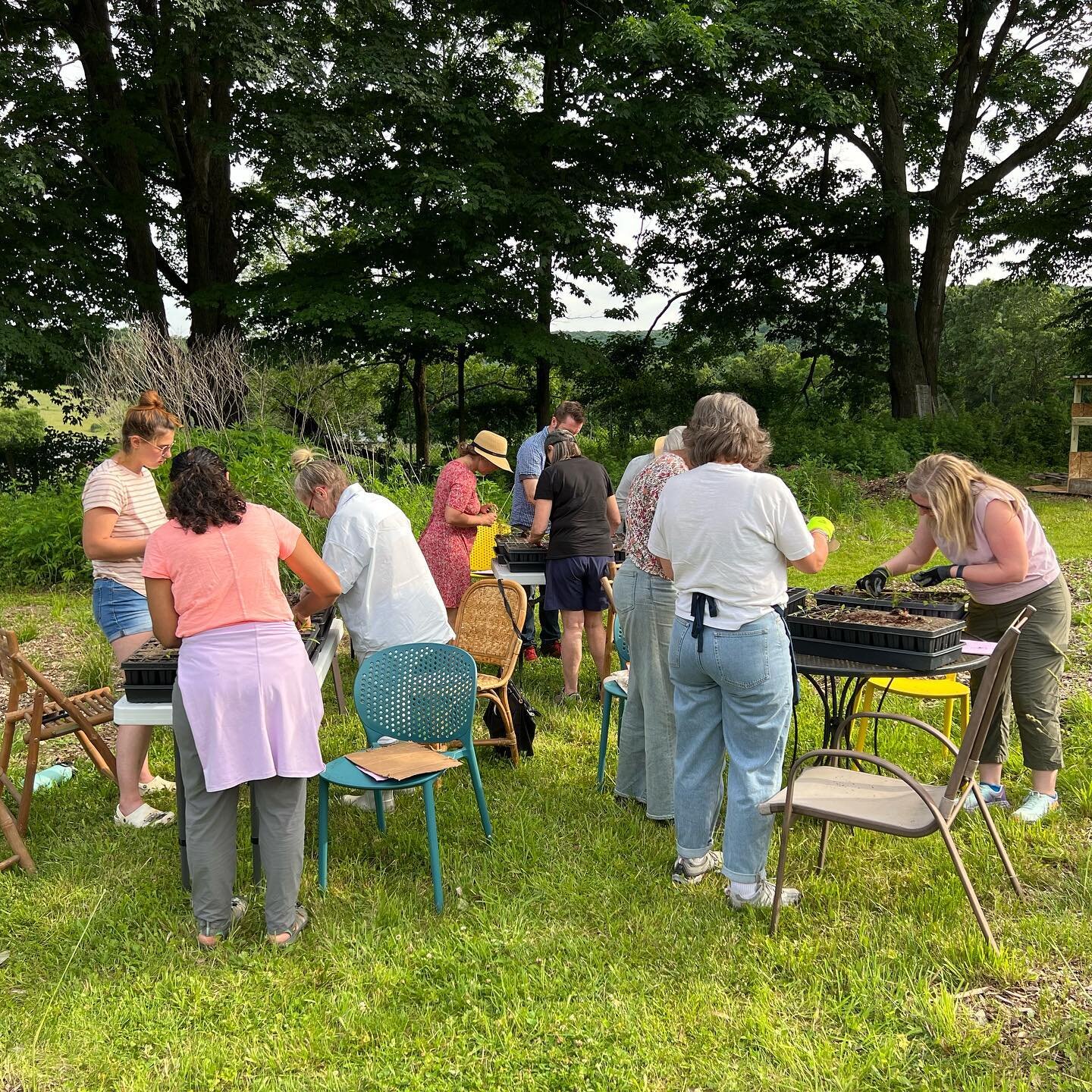 Day one of our lawn to meadow workshop was a resounding success, now we do it all again this morning! Participants learned how to remove the lawn, what to replace it with, and then potted up 50 seedlings in a plug tray to be planted in the fall. Coul