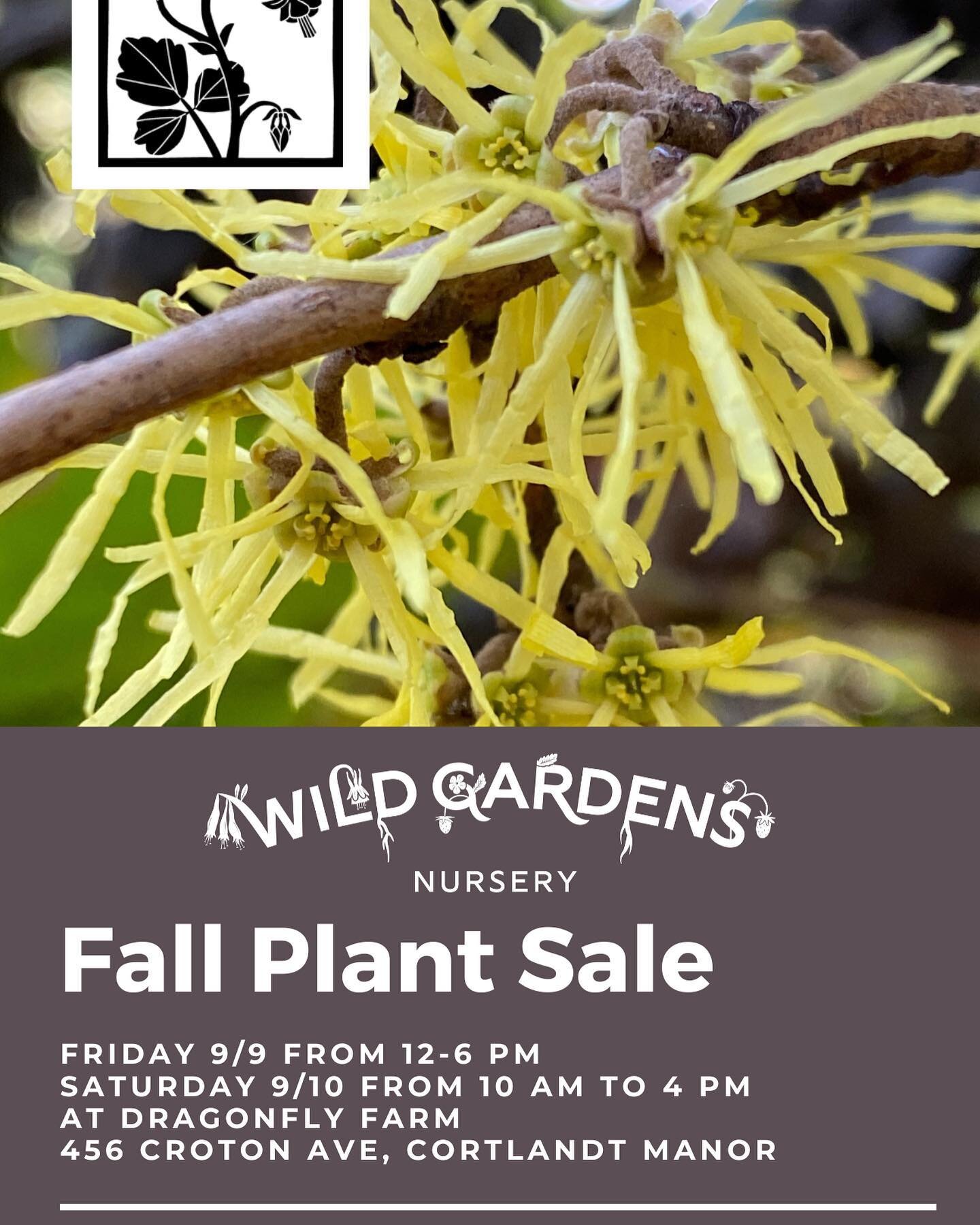 Mark your calendar! We will kick off the fall season with a two day in-person sale. #nativeplants #wildgardens