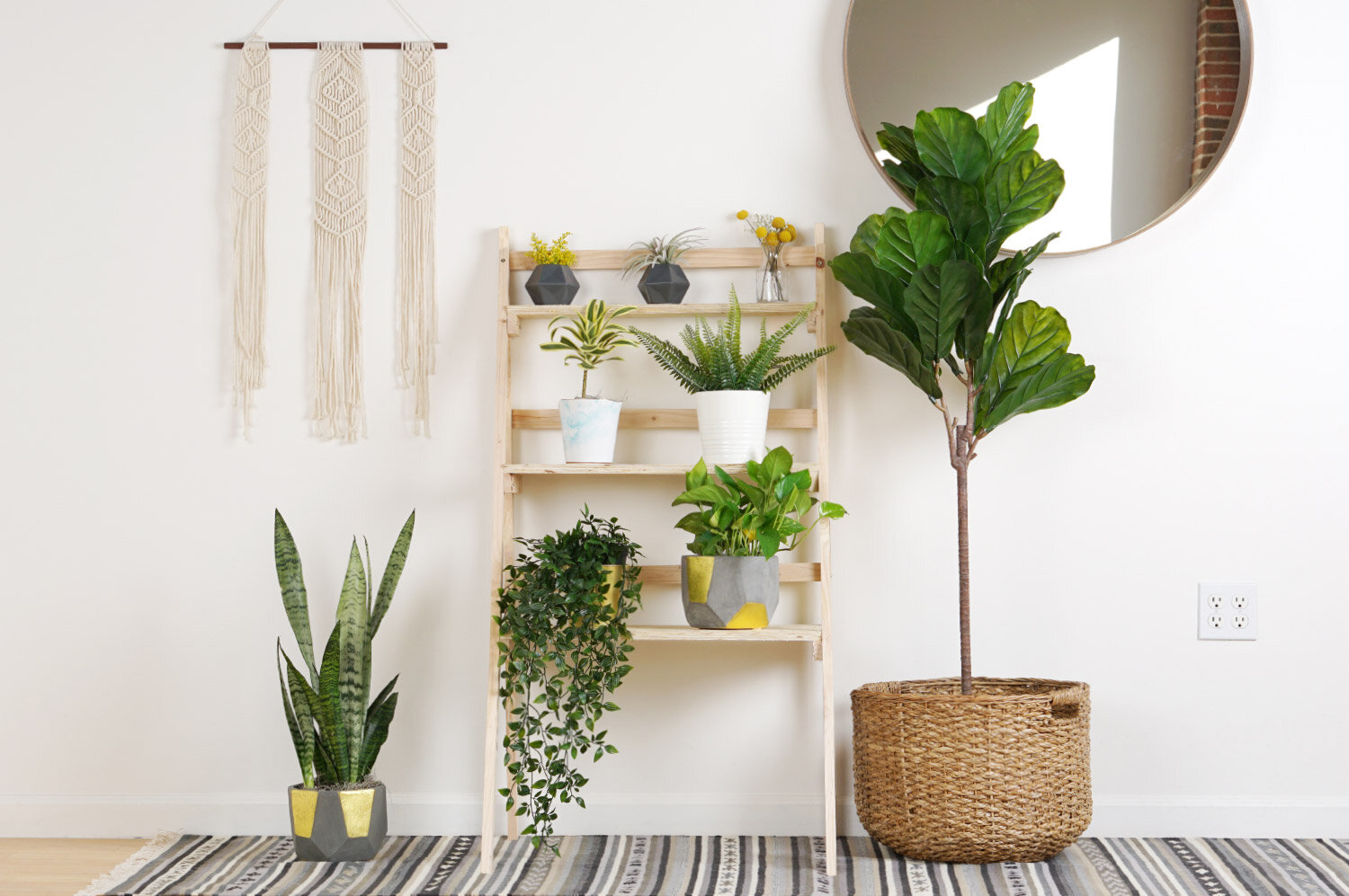 small-apartment-diy-minimalist-ladder-plant-stand-spaceoptimized_design-and-decor.jpg