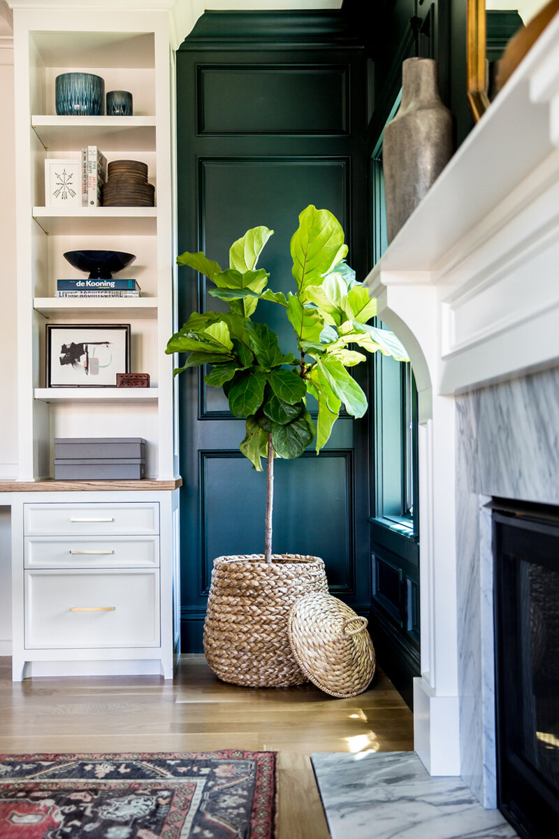 INDOORPLANTINSPIRATION1.jpg