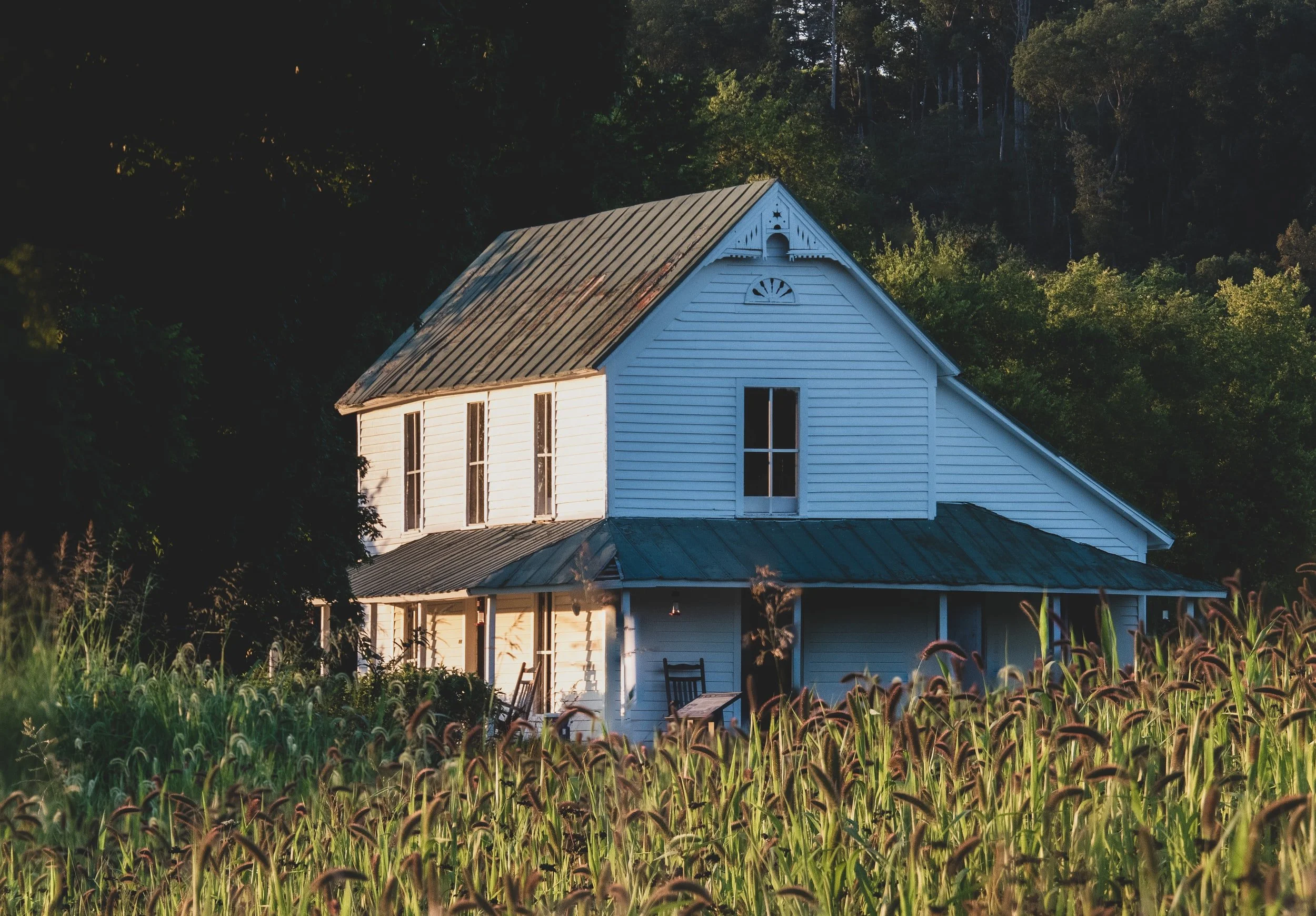unsplash-image-yuGXNdSuMIs.jpg