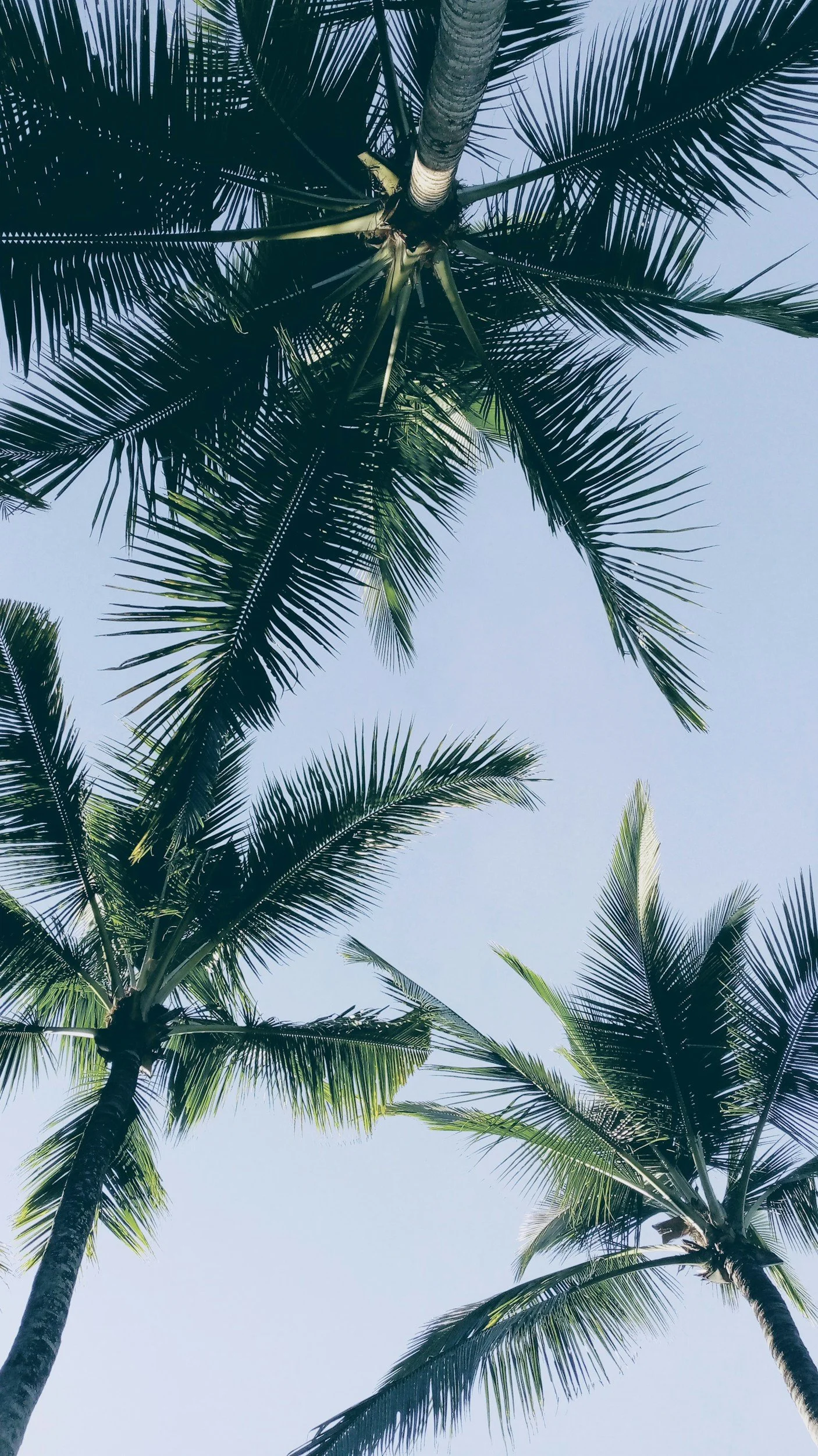 unsplash-image-BS-ouxVZ8M8.jpg