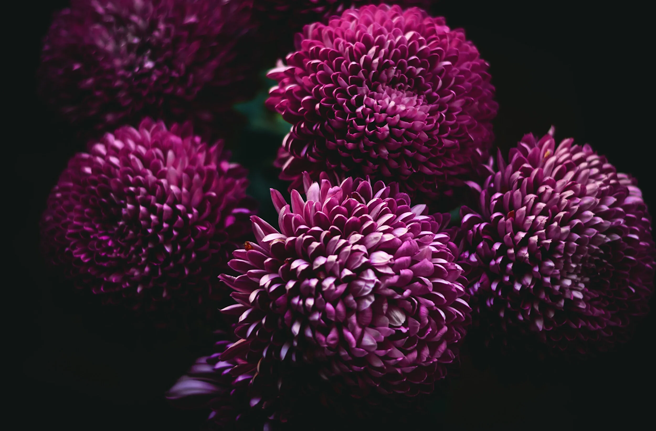 image-asset-5.jpeg.webp