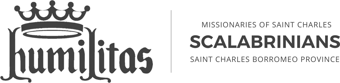 humilitas-logo-web-eng copy.png