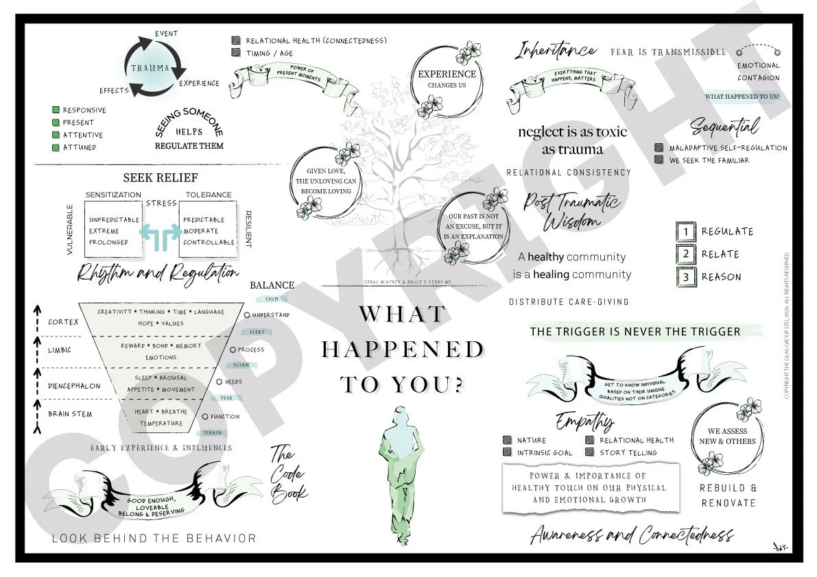 What Happened to You (Oprah Winfrey and Bruce D. Perry MD)