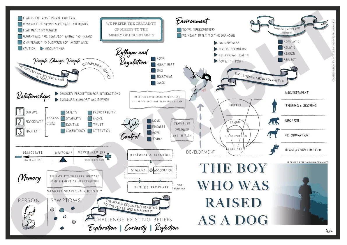 The Boy Who Was Raised As A Dog (Bruce D. Perry &amp; Maia Szalavitz)