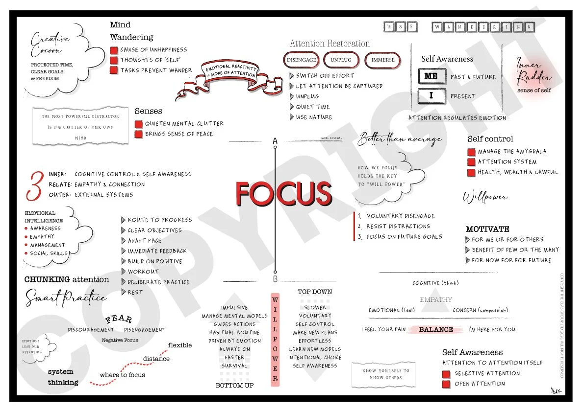 Focus-UPDATED-COPYRIGHT.jpg
