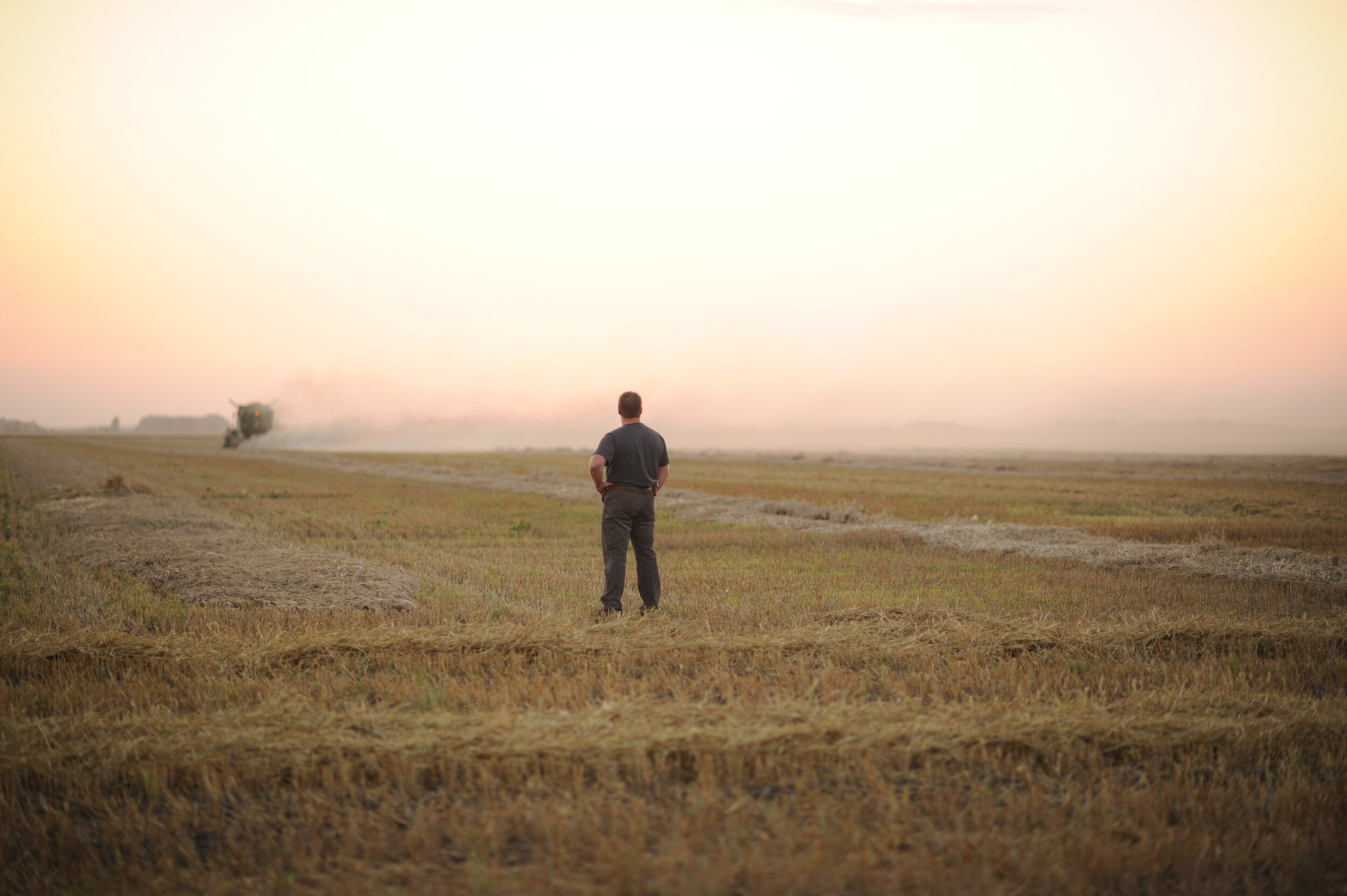 Rye Harvest Photo by Megan Sugden.jpg