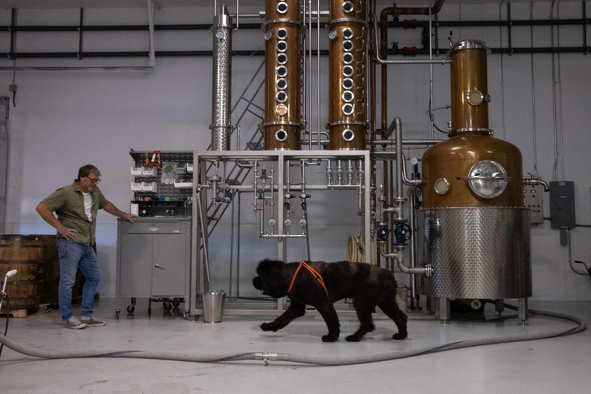 Mammoth Distilling — American Mash & Grain