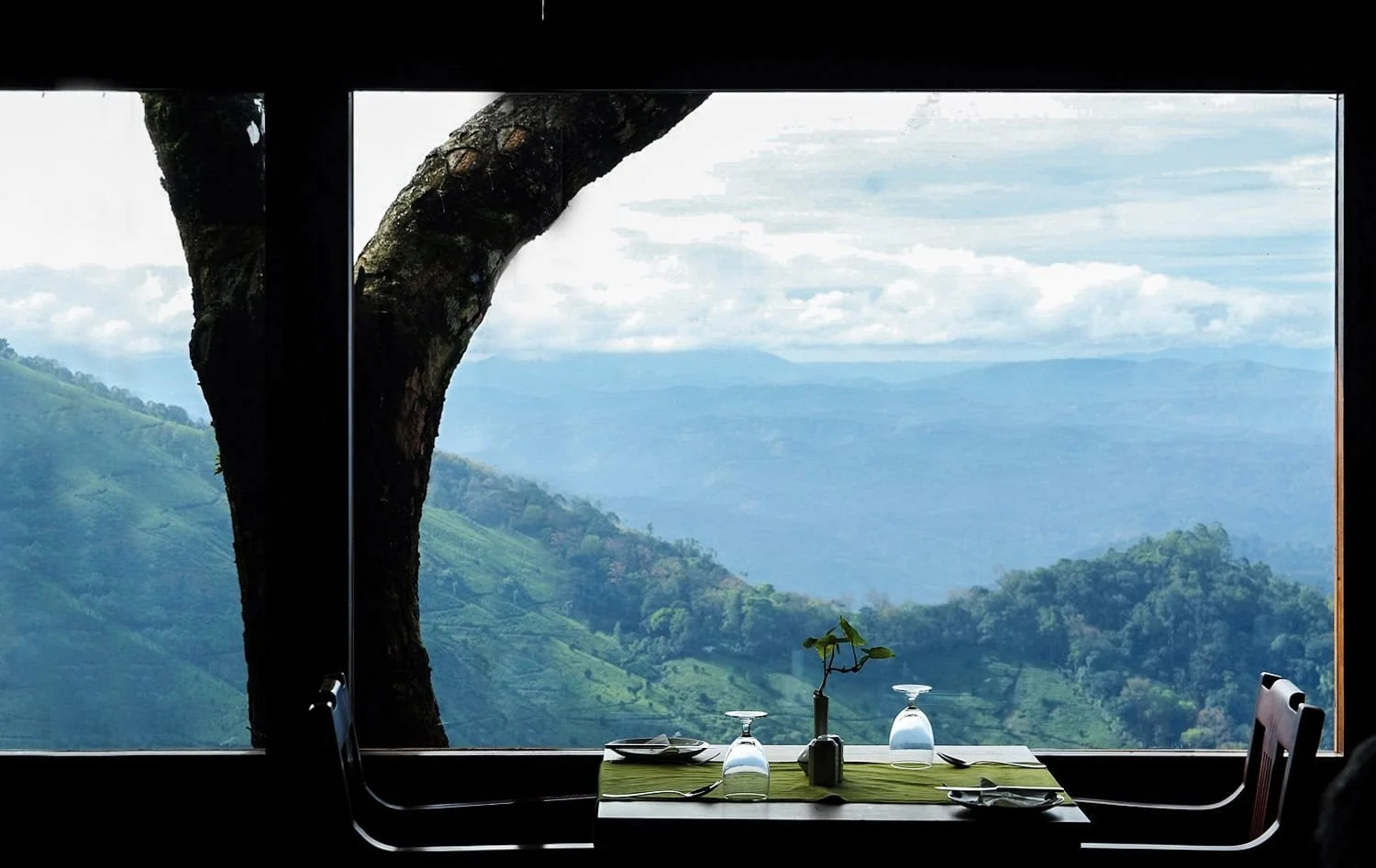 Hornbill-Restaurant-3-1.jpg