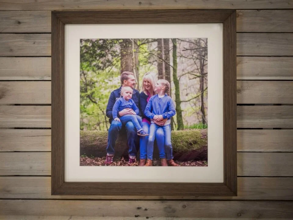 Print Offer - Contemporary Framed Print