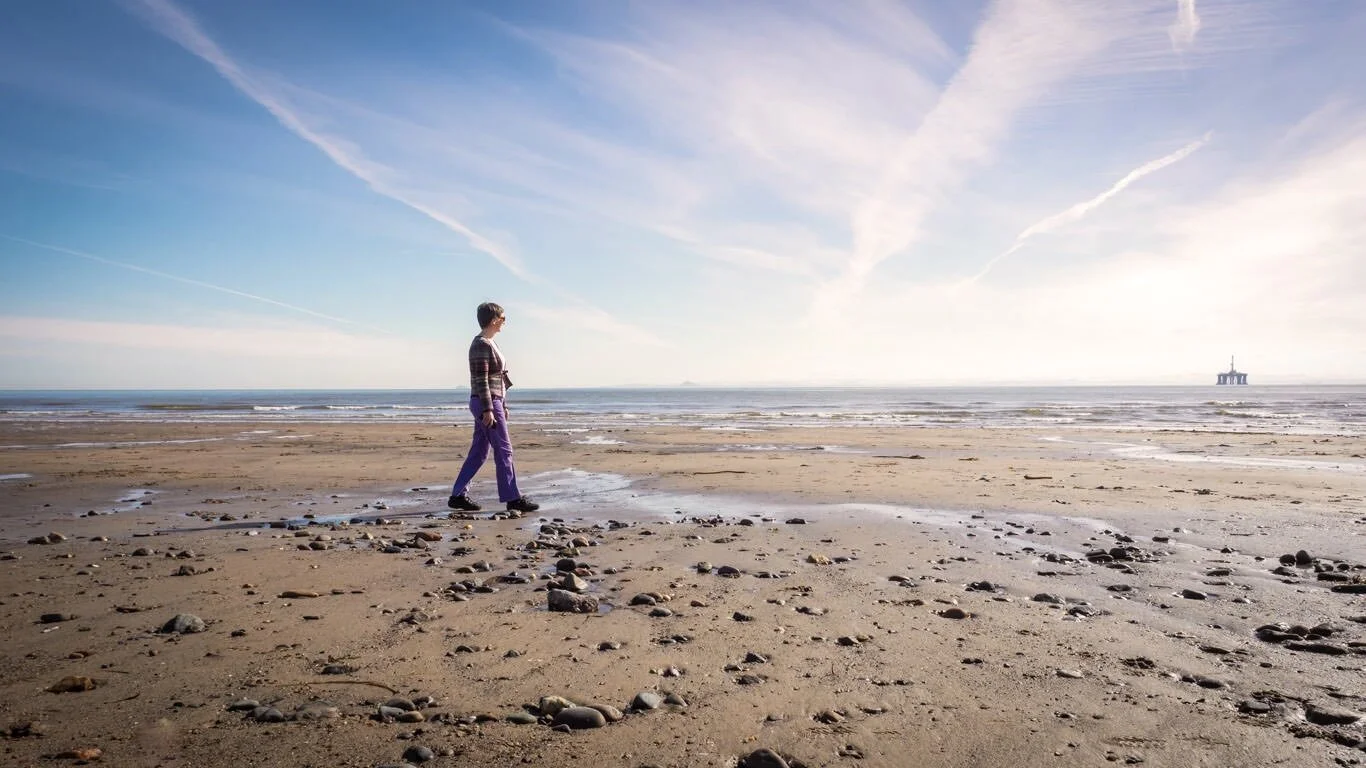 Professional Photography Tips For Any Season