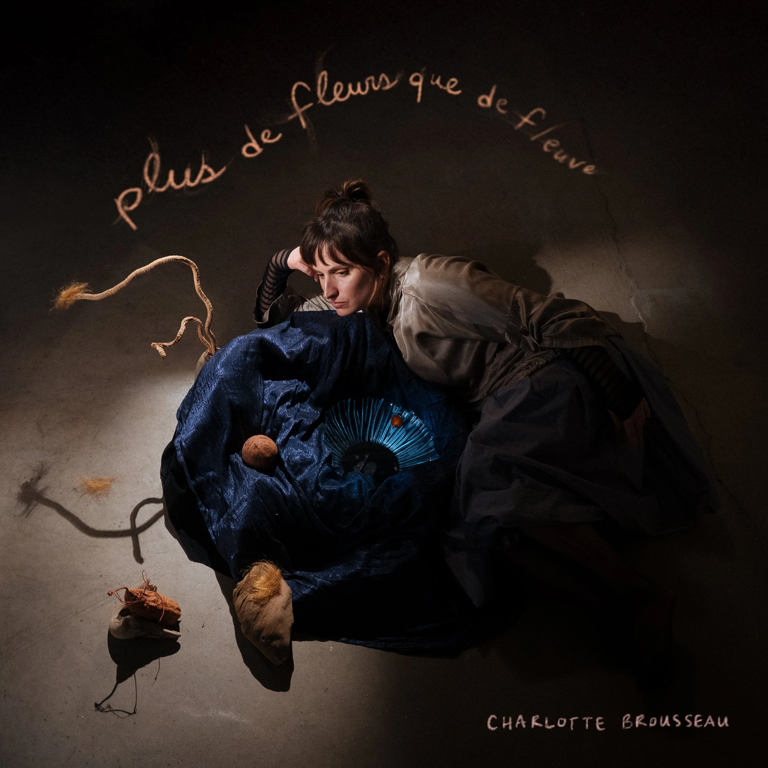Charlotte-cover-final-20250501_3000X3000 (1).jpg