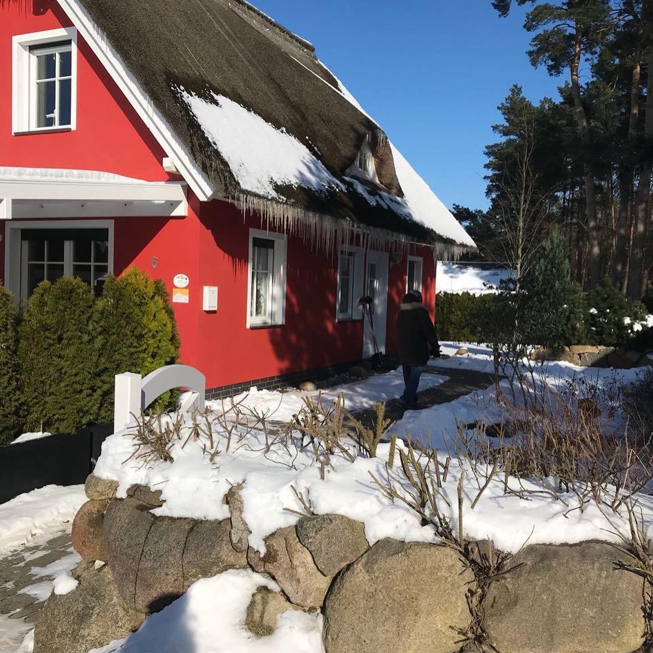 Eiszapfen am Reetdach und Feuer im Kamin! ❤️❤️

Aktuell d&uuml;rfen wir ja leider keine G&auml;ste beherbergen, aber f&uuml;r kommende Winter: der Januar auf Usedom ist wundersch&ouml;n und eine Reise lohnt sich. Standspazierg&auml;nge, Meeresrausche