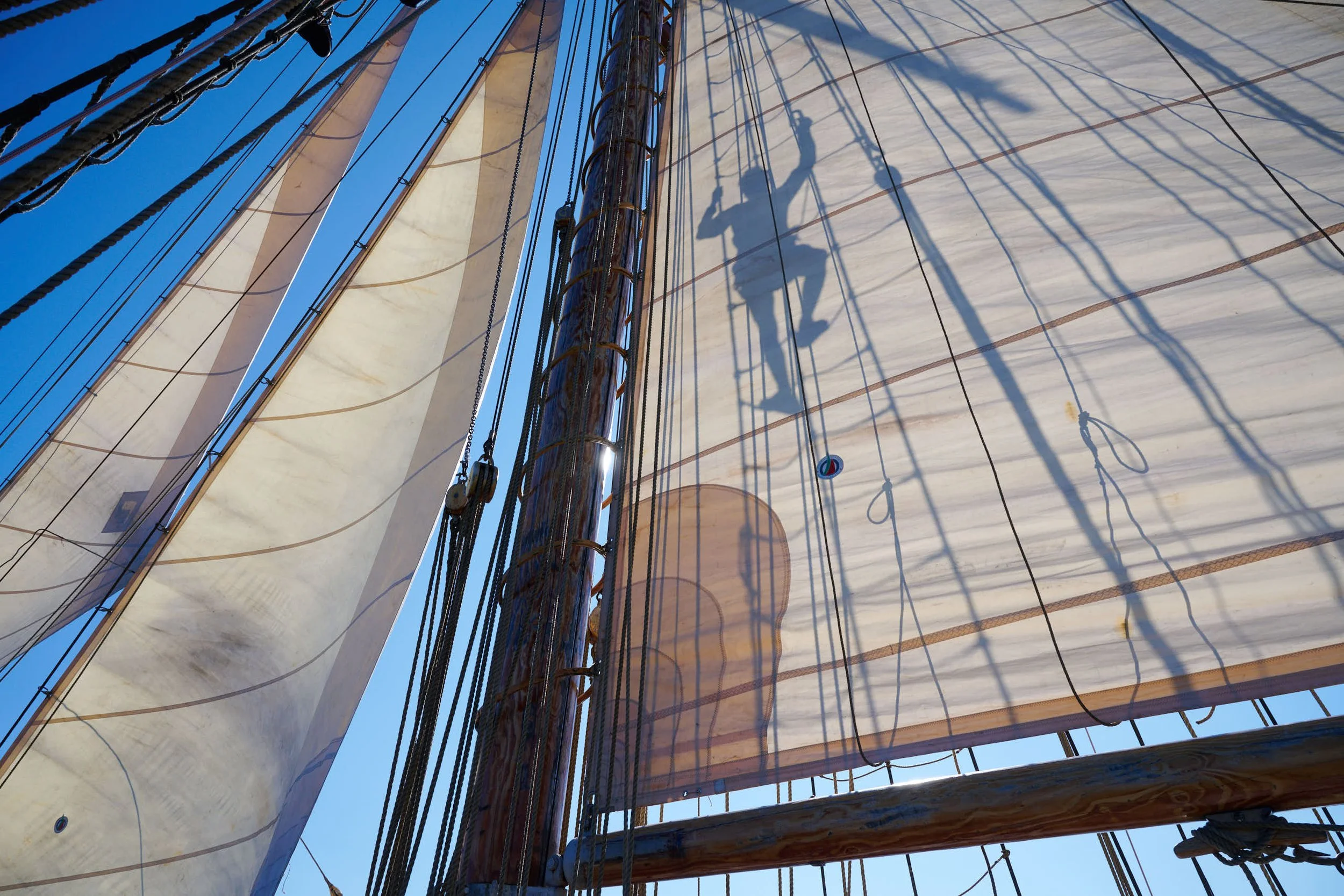 Grace O'Malley_0559 Low Res.jpg