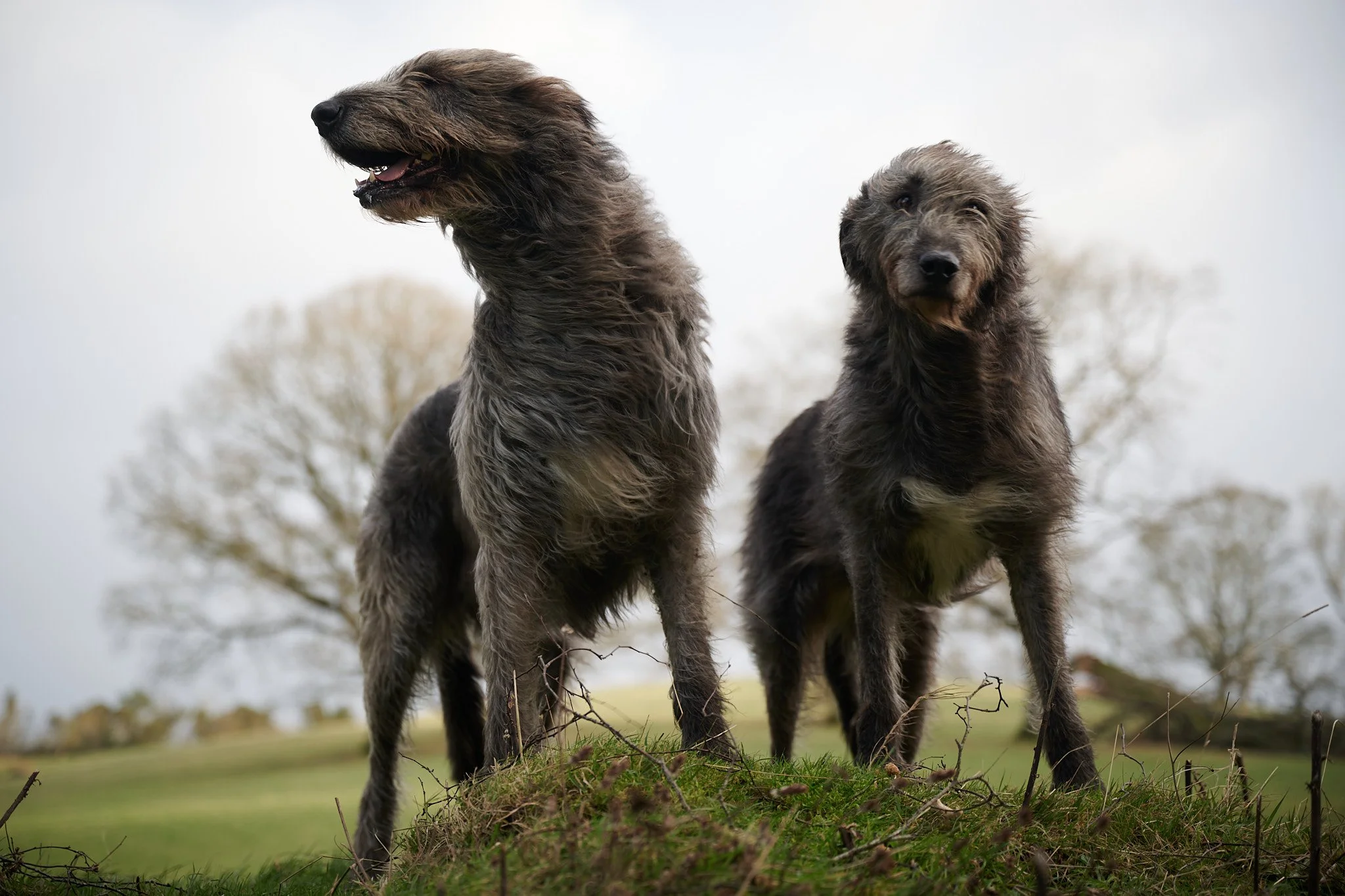 W&M_D1_7.12.24_JM_0034_Low Res.jpg