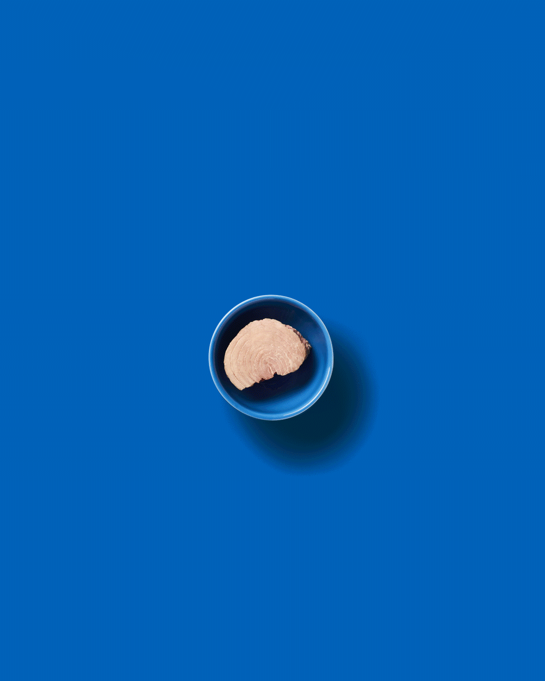 GIF_topview_tomatinho.gif