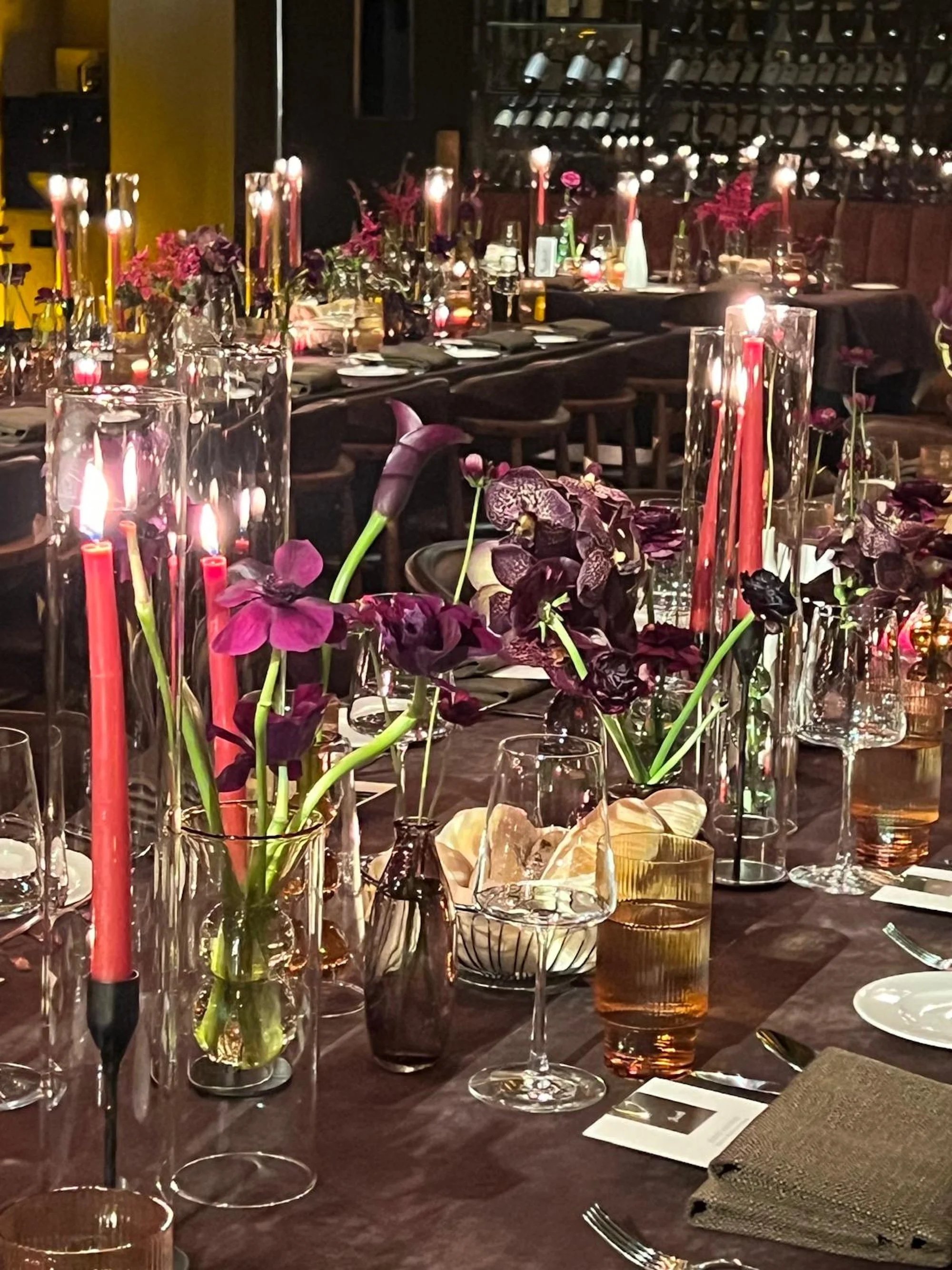 WhatsApp Image 2026-03-19 at 16.15.09 (4).jpeg