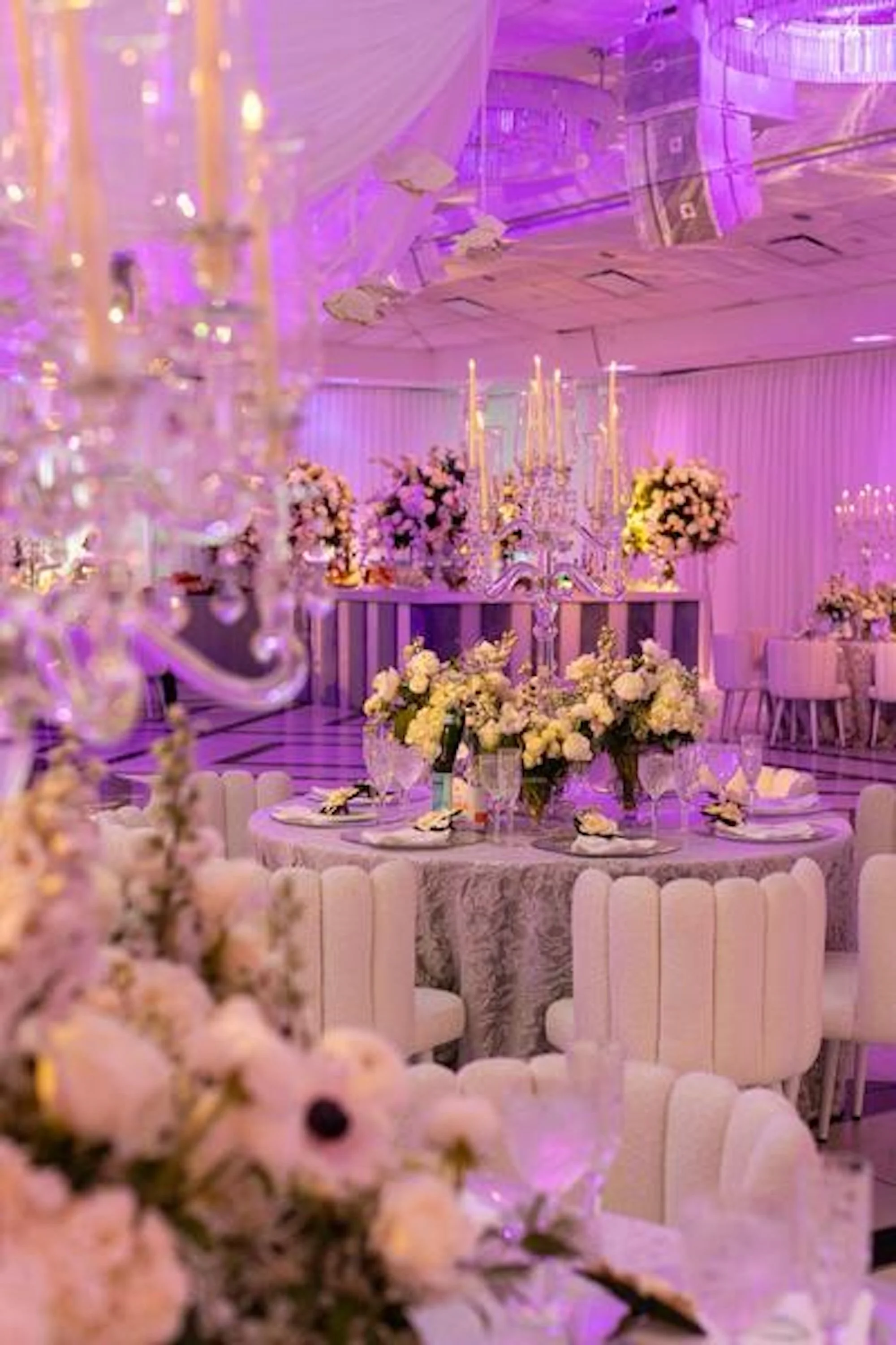 WhatsApp Image 2026-03-19 at 15.04.32 (28).jpeg