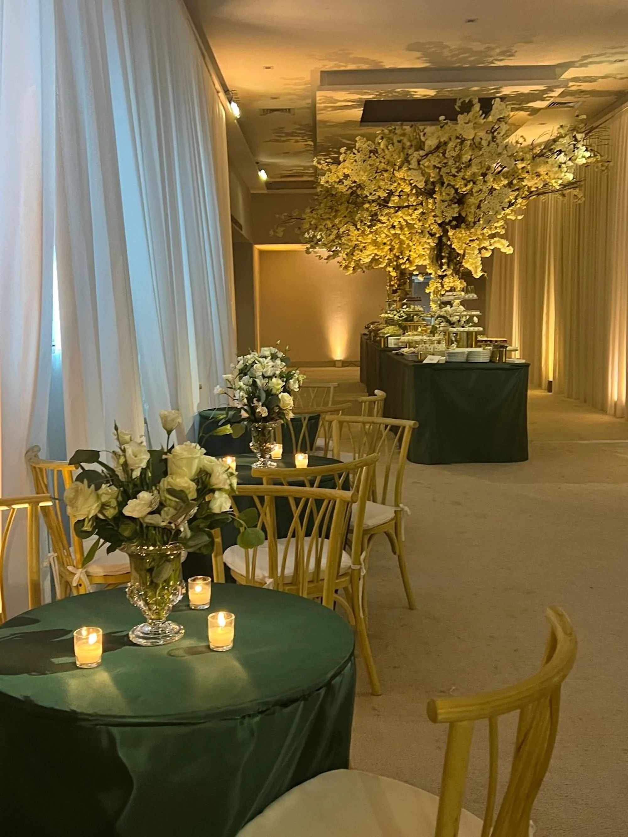 WhatsApp Image 2026-03-19 at 15.06.49 (12).jpeg