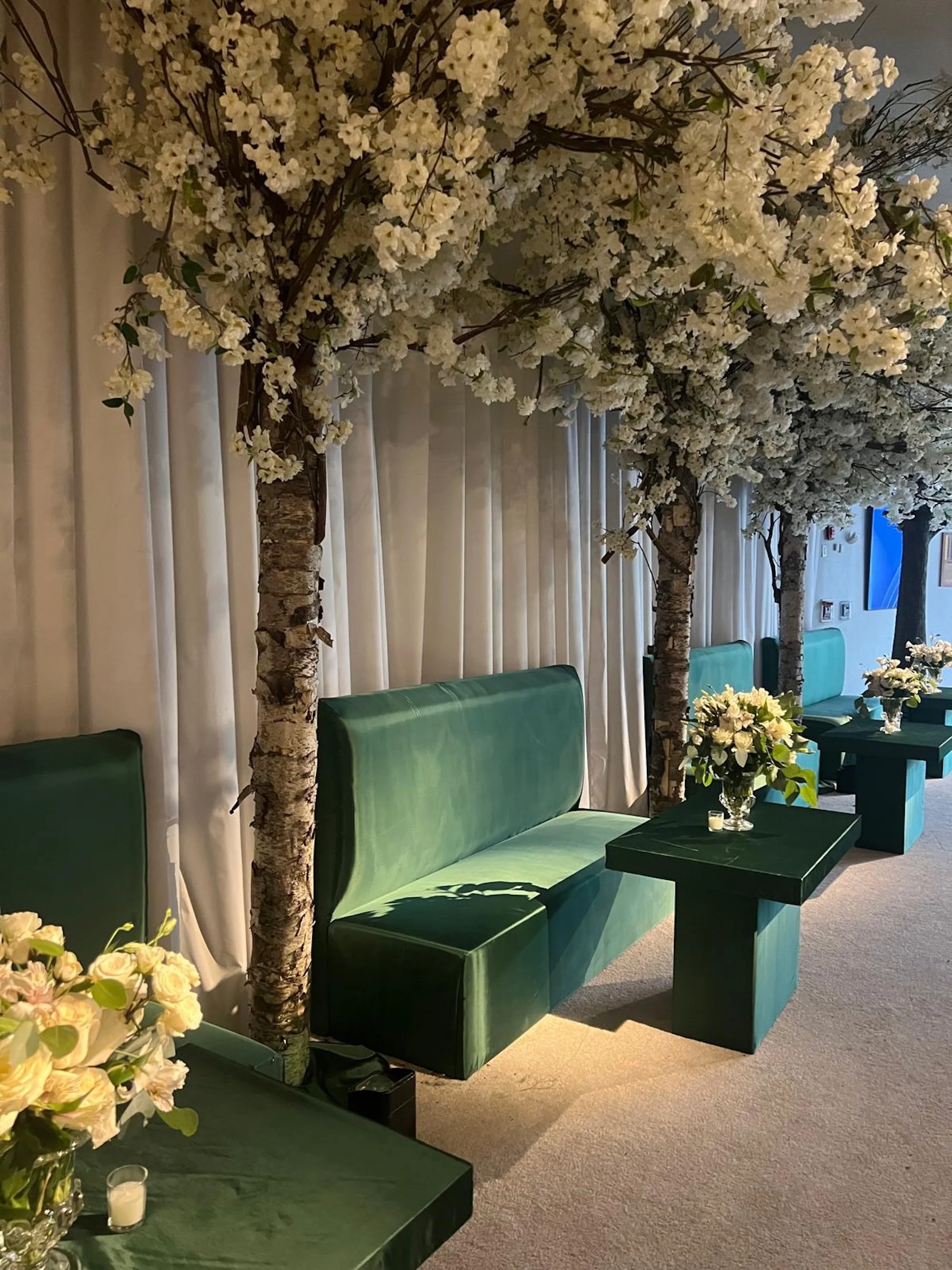 WhatsApp Image 2026-03-19 at 15.06.49.jpeg