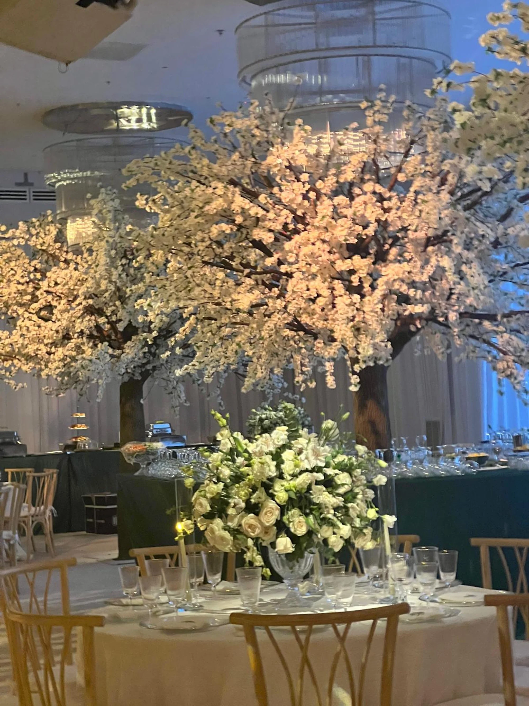 WhatsApp Image 2026-03-19 at 15.06.49 (9).jpeg