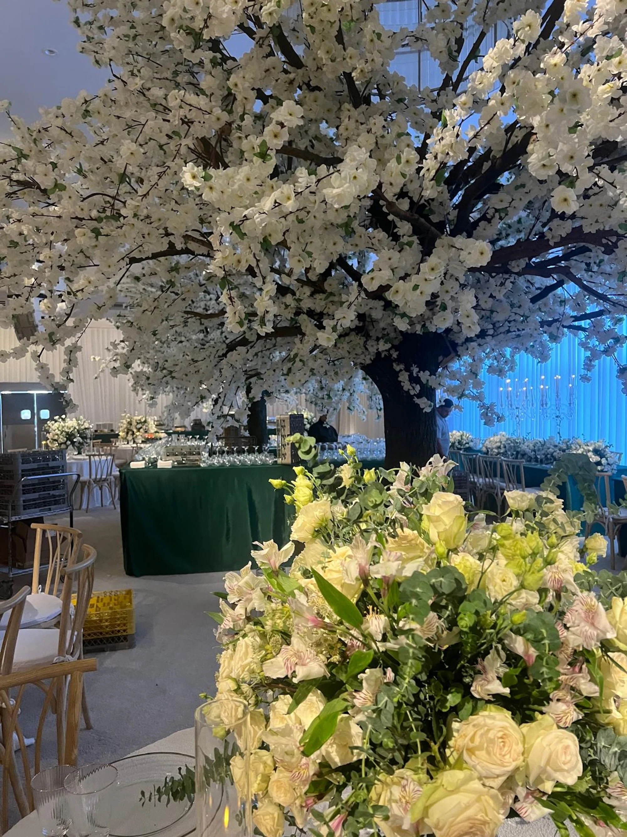 WhatsApp Image 2026-03-19 at 15.06.49 (4).jpeg