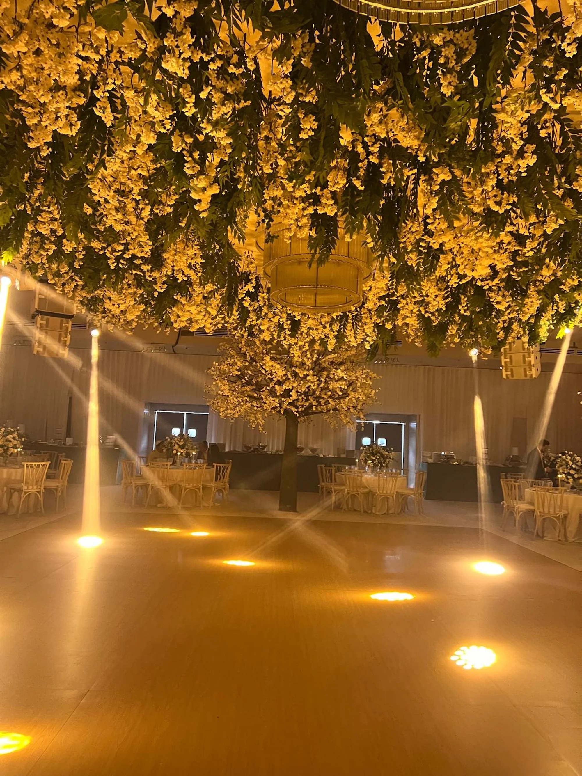 WhatsApp Image 2026-03-19 at 15.06.49 (21).jpeg