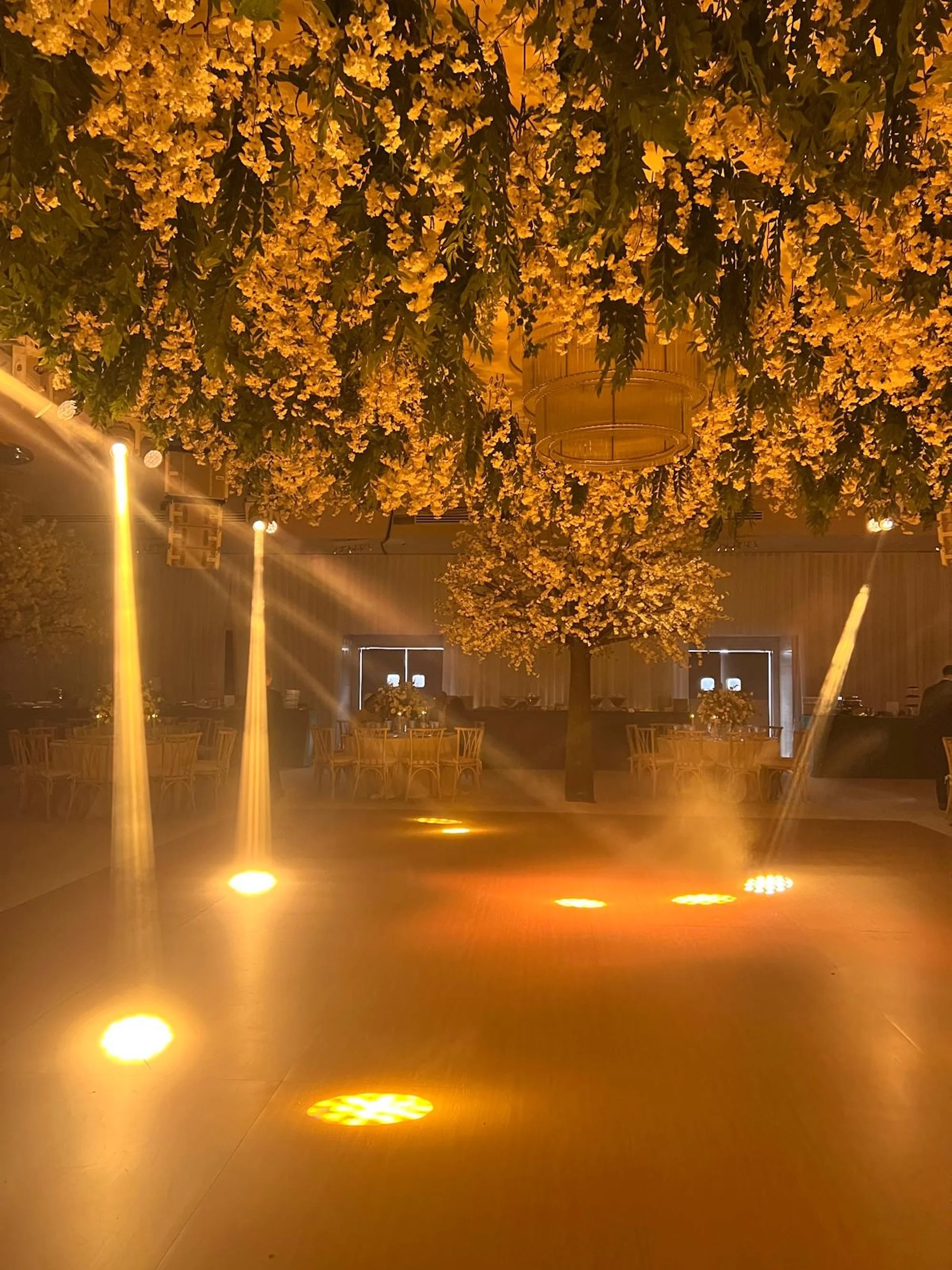 WhatsApp Image 2026-03-19 at 15.06.49 (20).jpeg