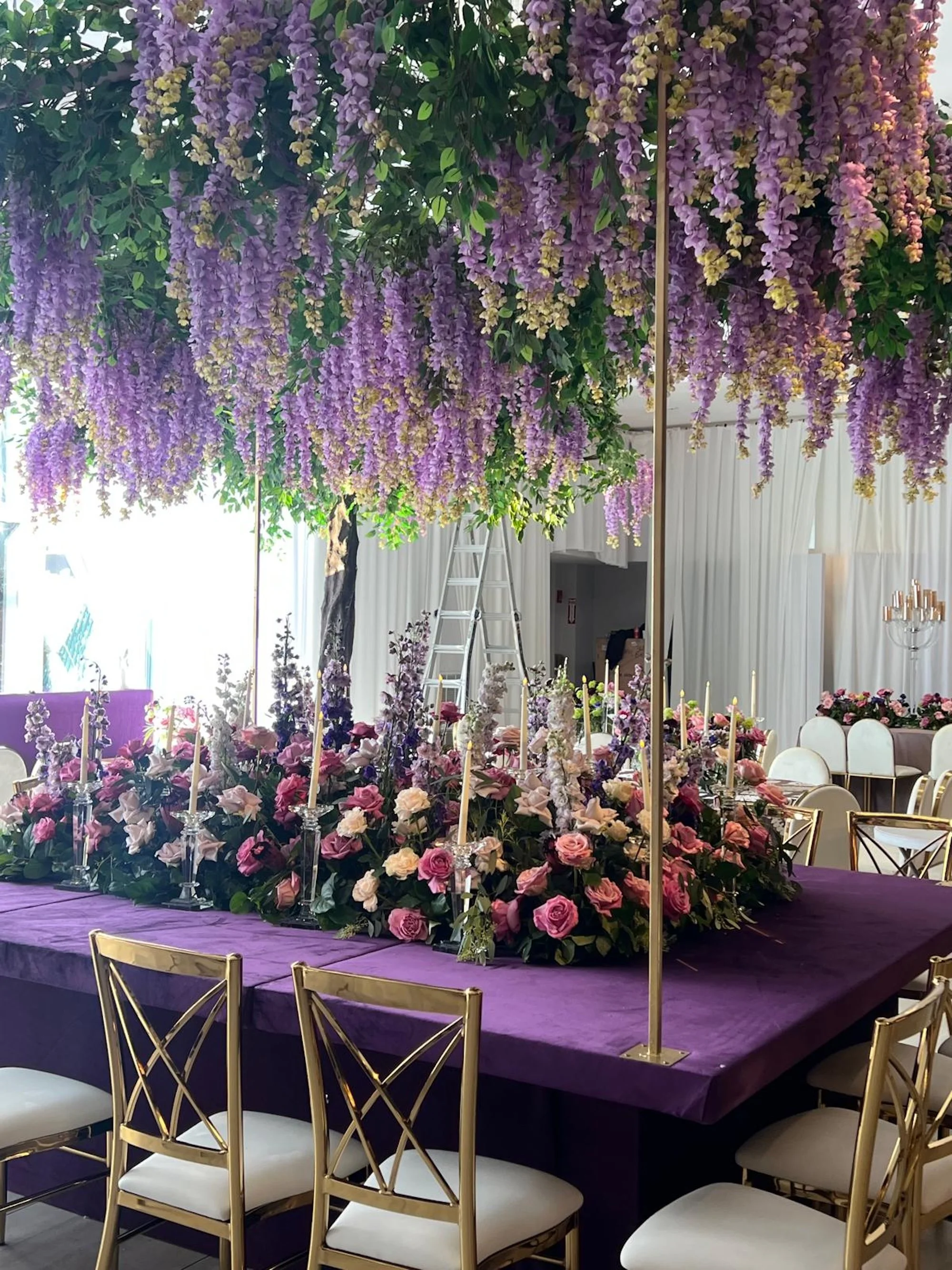 WhatsApp Image 2026-03-19 at 16.05.06 (7).jpeg