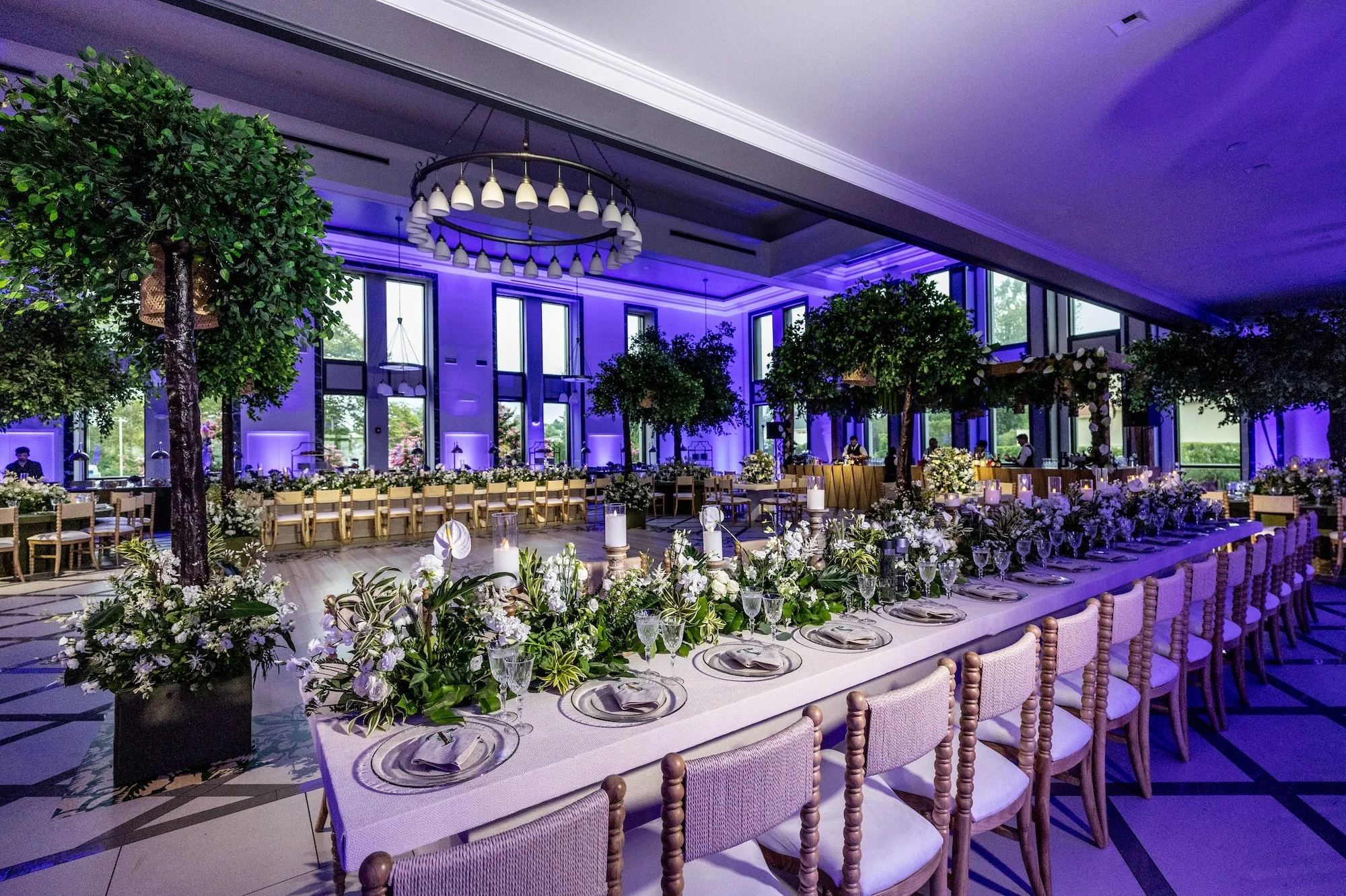 Iris and David-0822.jpg