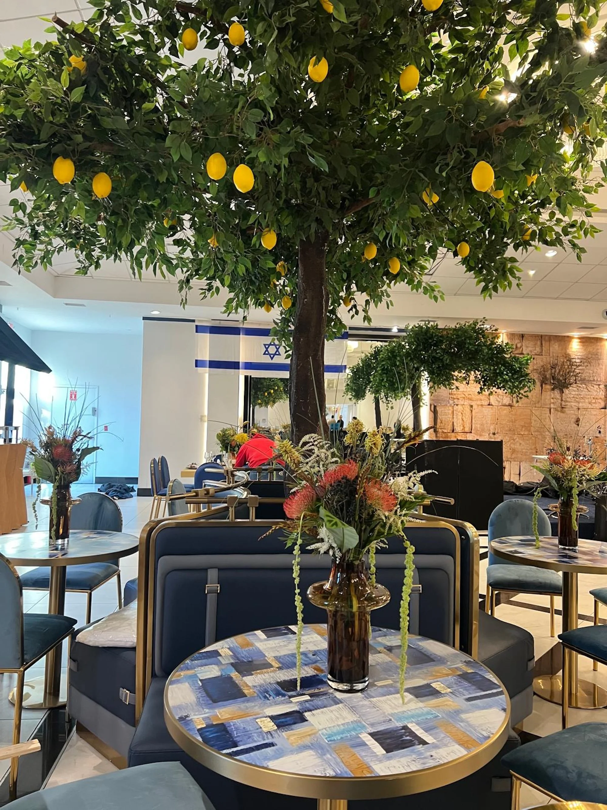 WhatsApp Image 2026-03-19 at 15.14.01 (1).jpeg