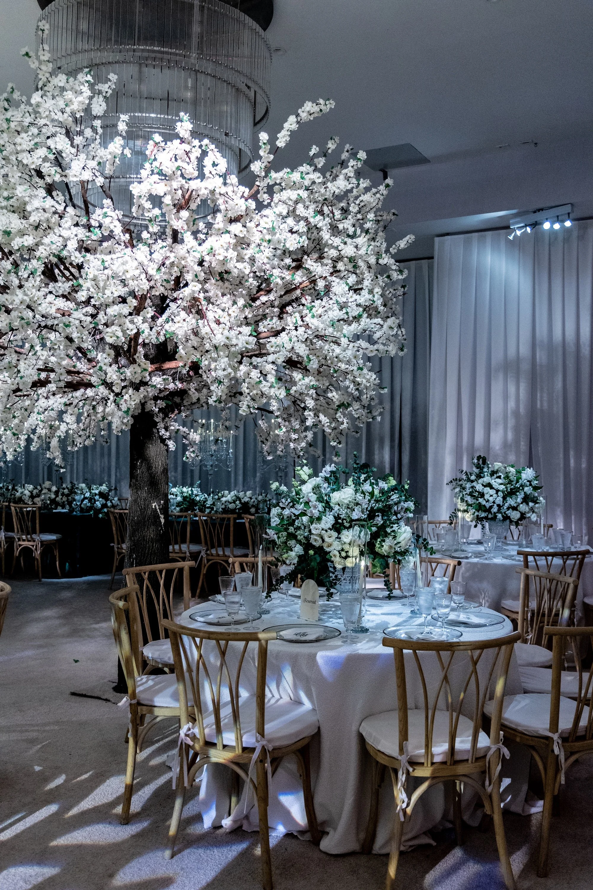 Lillie and Nate-0641.jpg