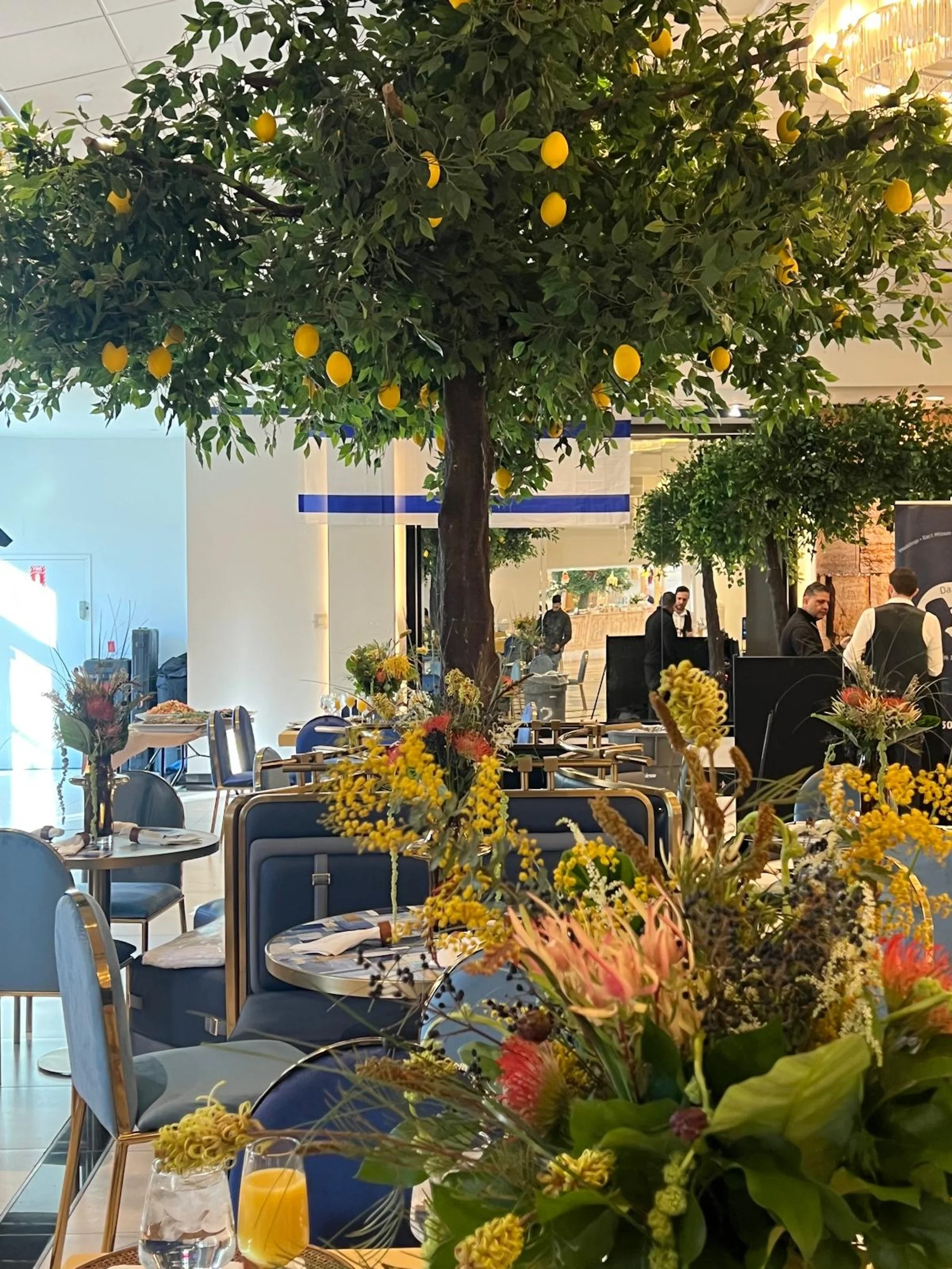 WhatsApp Image 2026-03-19 at 15.14.02 (10).jpeg