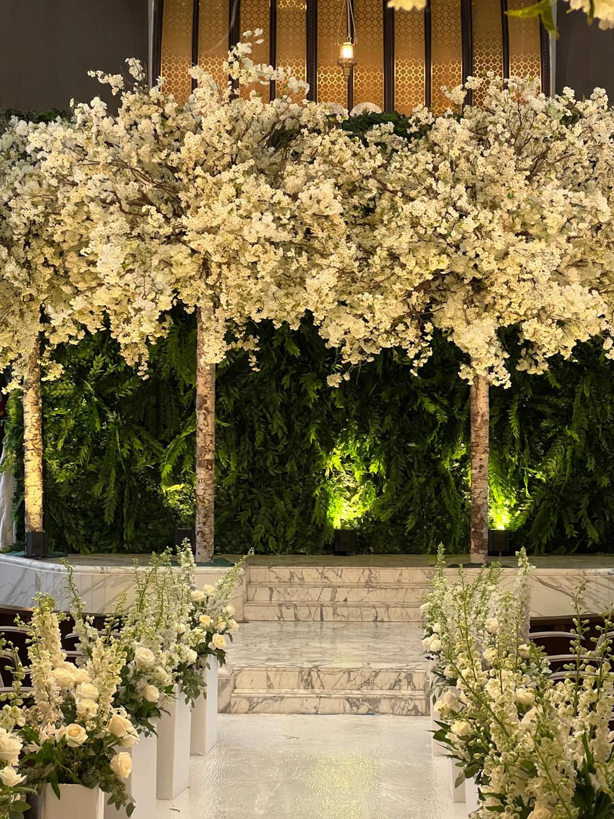 WhatsApp Image 2026-03-19 at 15.06.47.jpeg