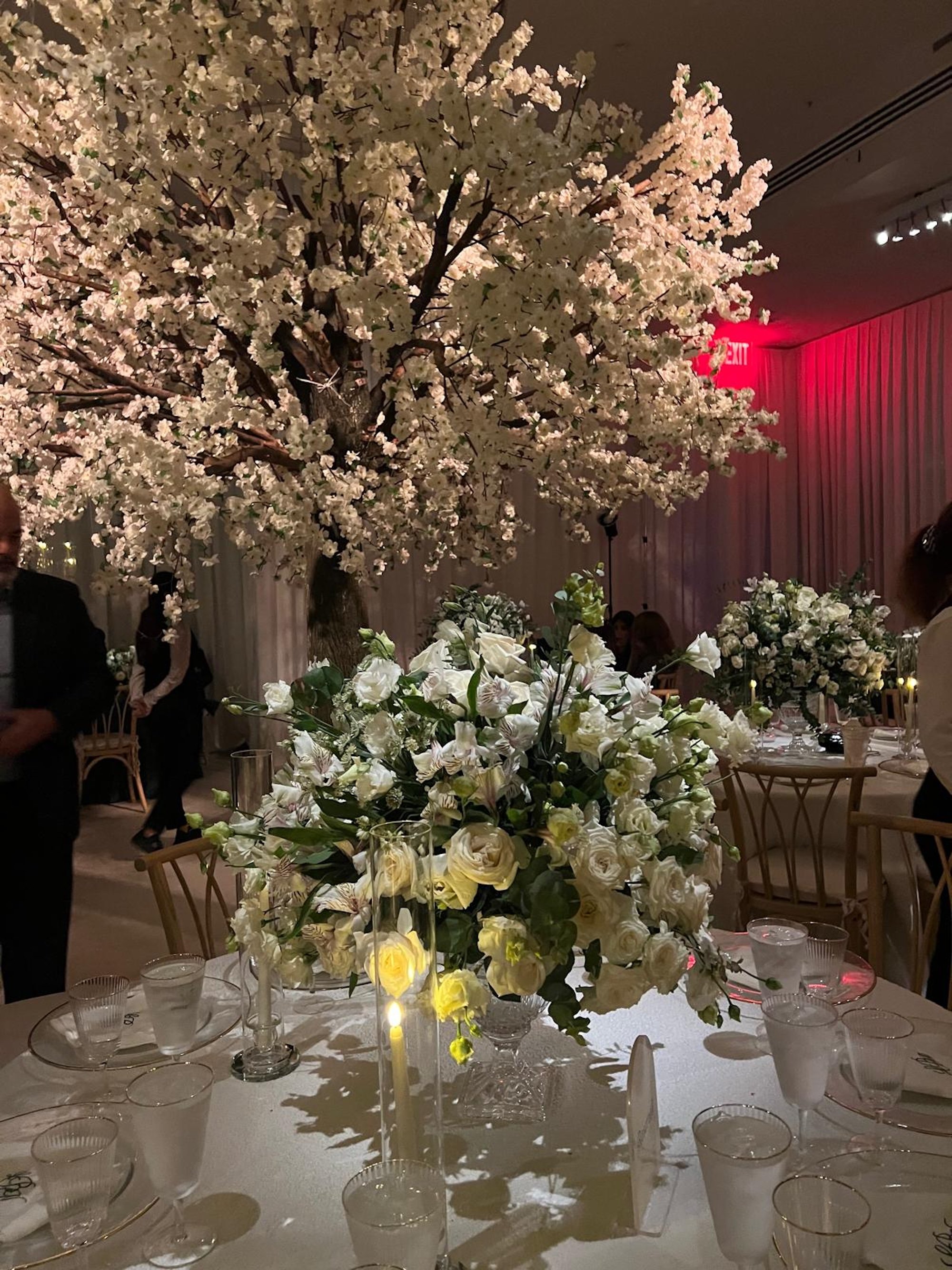 WhatsApp Image 2026-03-19 at 15.06.49--.jpeg