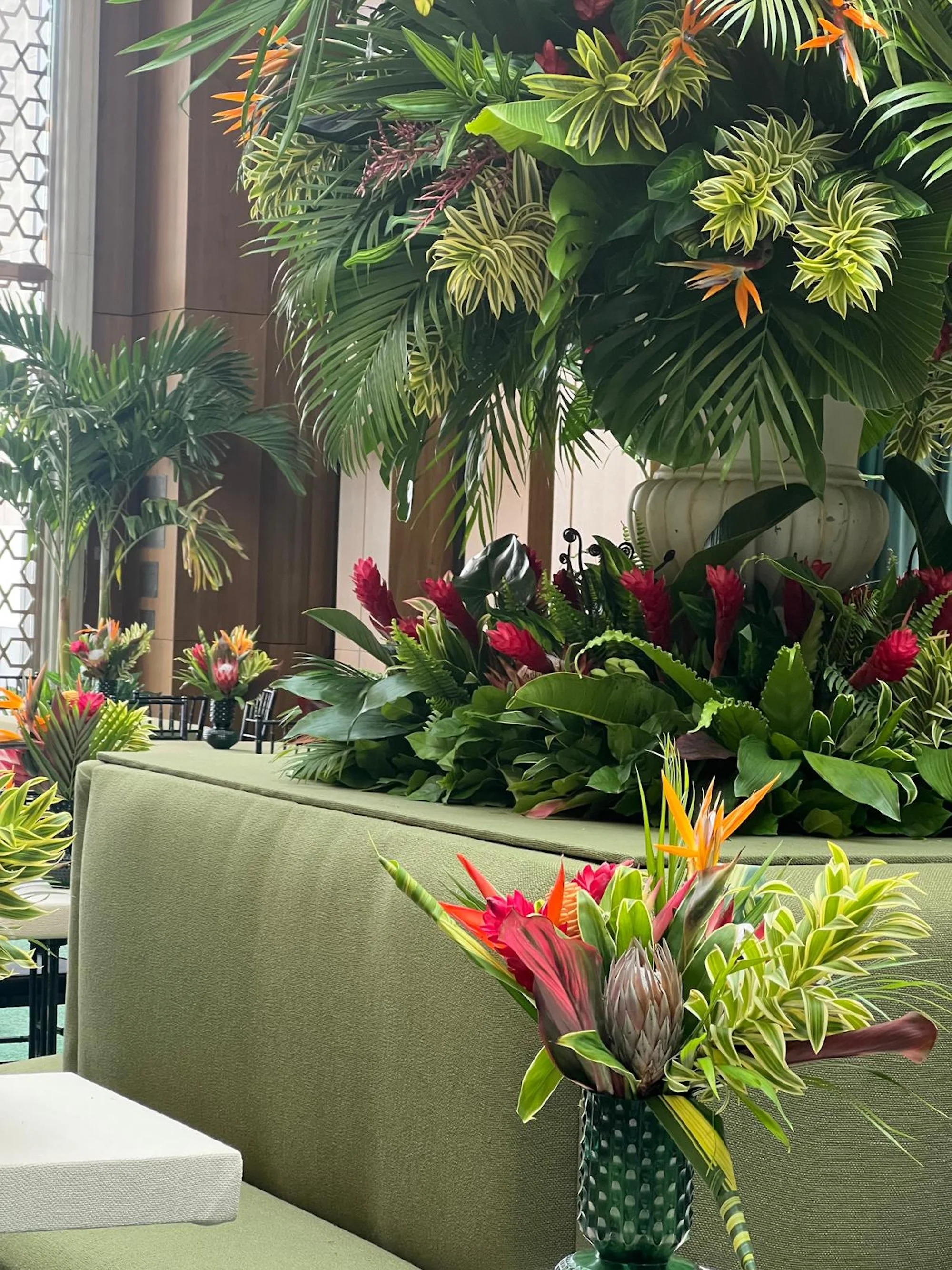 WhatsApp Image 2026-03-19 at 16.10.53--.jpeg