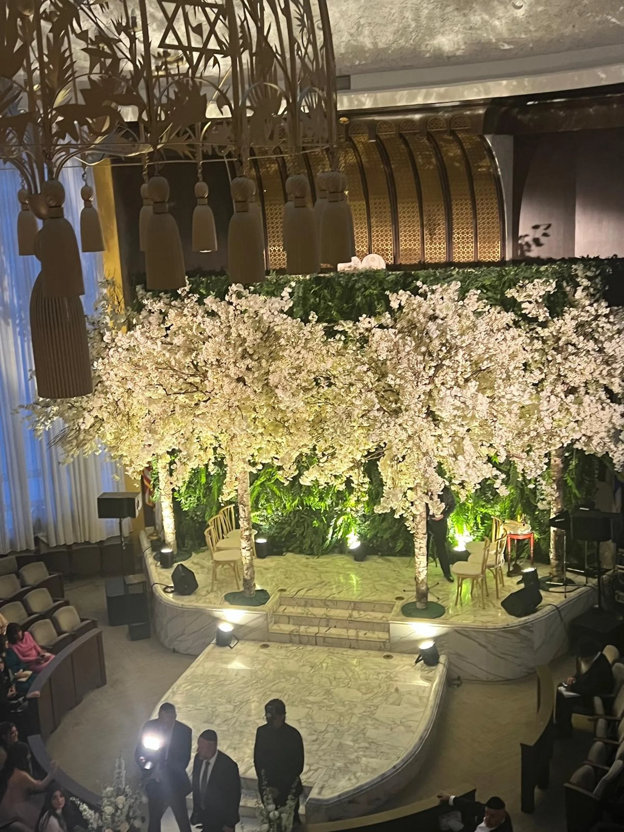 WhatsApp Image 2026-03-19 at 15.06.49 (11).jpeg