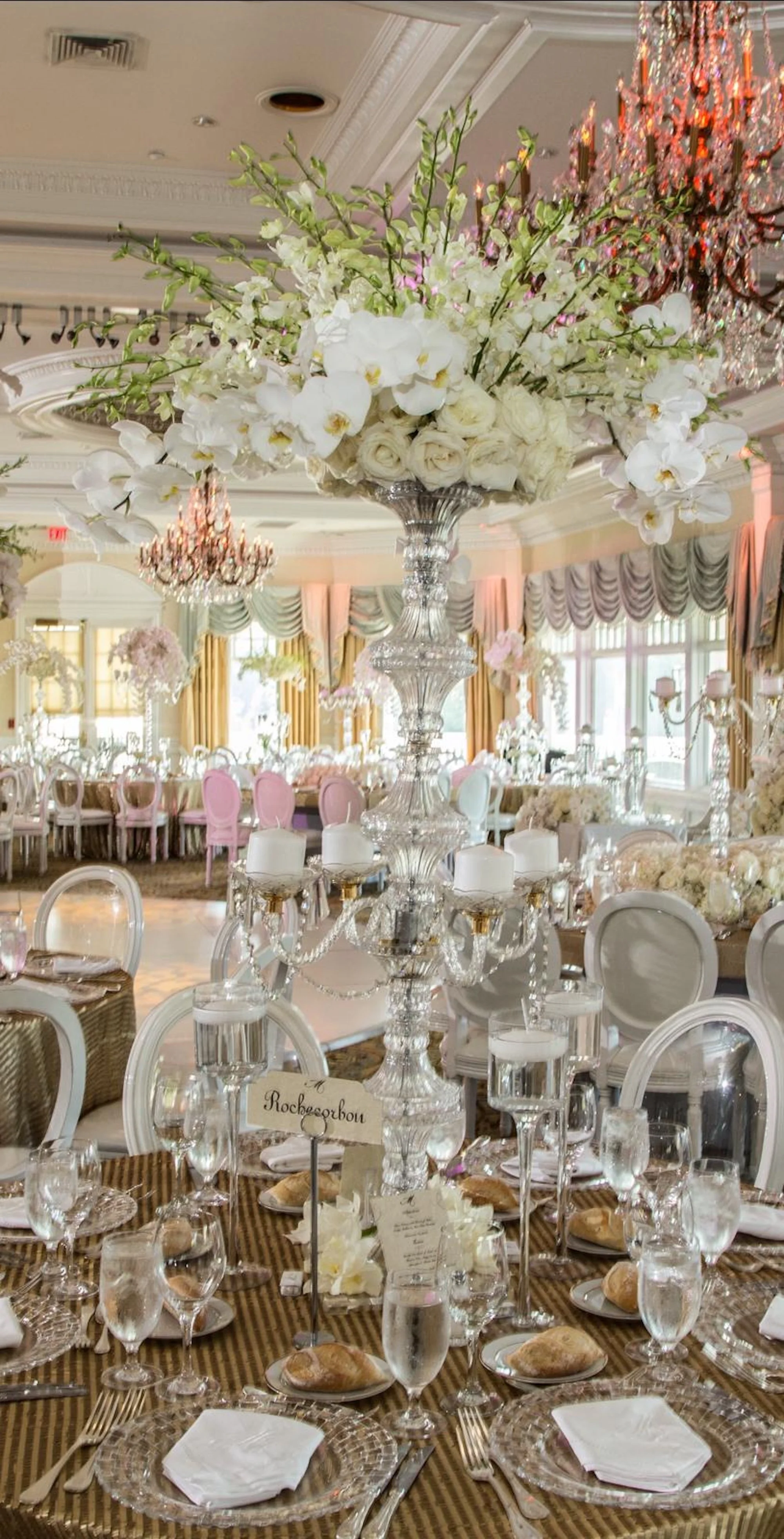 WhatsApp Image 2026-03-19 at 15.04.31.jpeg