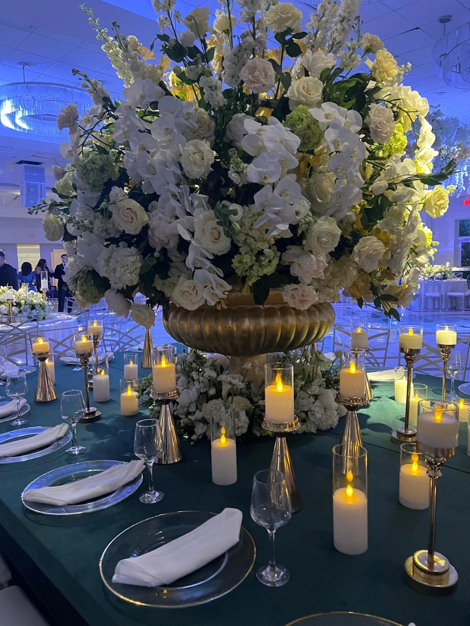 WhatsApp Image 2026-03-19 at 15.09.50 (6).jpeg